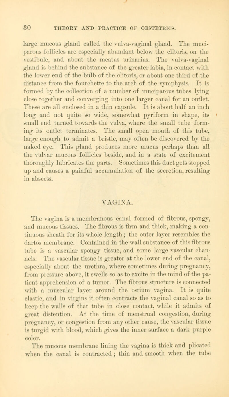 large mucous gland called the vulva-vaginal gland. The muci- parous follicles are especially abundant below the clitoris, on the vestibule, and about the meatus urinarius. The vulva-vaginal gland is behind the substance of the greater labia, in contact with the lower end of the bulb of the clitoris, or about one-third of the distance from the fourchette to the arch of the symphysis. It is formed by the collection of a number of muciparous tubes lying close together and converging into one larger canal for an outlet. These are all enclosed in a thin capsule. It is about half an inch long and not quite so wide, somewhat pyriform in shape, its small end turned towards the vulva, where the small tube form- ing its outlet terminates. The small open mouth of this tube, large enough to admit a bristle, may often be discovered by the naked eye. This gland produces more mucus perhaps than all the vulvar mucous follicles beside, and in a state of excitement thoroughly lubricates the parts. Sometimes this duct gets stopped up and causes a painful accumulation of the secretion, resulting in abscess. VAGINA. The vagina is a membranous canal formed of fibrous, spongy, and mucous tissues. The fibrous is firm and thick, making a con- tinuous sheath for its whole length ; the outer layer resembles the dartos membrane. Contained in the wall substance of this fibrous tube Ls a vascular spongy tissue, and some large vascular chan- nels. The vascular tissue is greater at the lower end of the canal, especially about the urethra, where sometimes during pregnancy, from pressure above, it swells so as to excite in the mind of the pa- tient apprehension of a tumor. The fibrous structure is connected with a muscular layer around the ostium vagina. It is quite elastic, and in virgins it often contracts the vaginal canal so as to keep the walls of thai tube in close contact, while it admits of great distention. At the time of menstrual congestion, during pregnancy, or congestion from any other cause, the vascular tissue is turgid with blood, which gives the inner BUlface a dark purple color, The mucous membrane lining the vagina is thick and plicated when the canal is contracted j thin and smooth when the tube