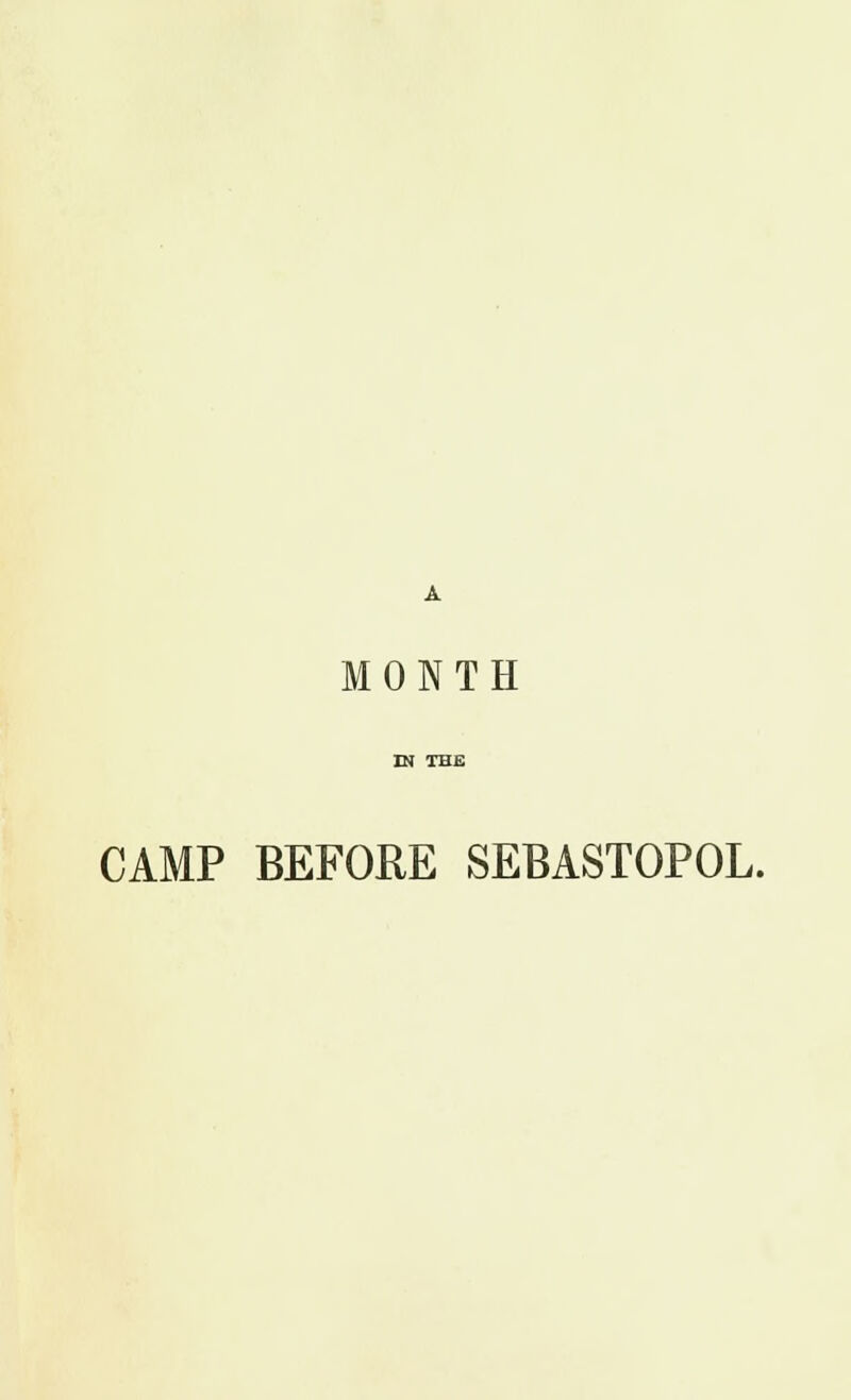 CAMP BEFORE SEBASTOPOL.