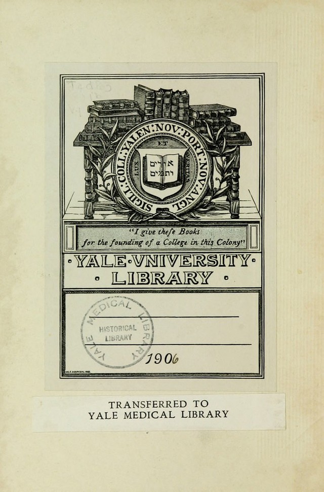 digitised image 2