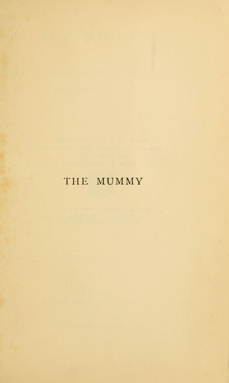 THE MUMMY