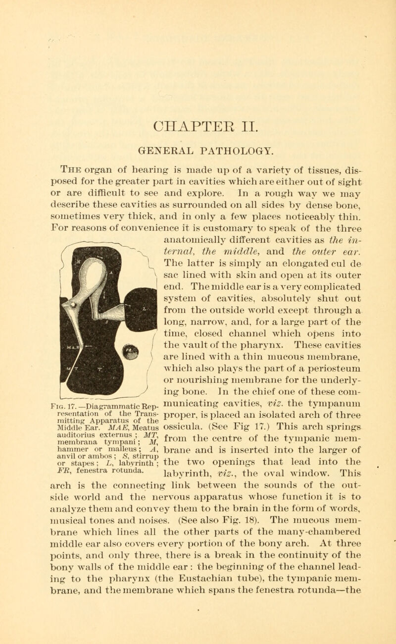 GENERAL PATHOLOGY. The organ of hearing is made up of a variety of tissues, dis- posed for the greater part in cavities which are either out of sight or are difficult to see and explore. In a rough way we may describe these cavities as surrounded on all sides by dense bone, sometimes very thick, and in only a few places noticeably thin. For reasons of convenience it is customary to speak of the three anatomically different cavities as the in- ternal, the middle, and the outer ear. The latter is simply an elongated cul de sac lined with skin and open at its outer end. The middle ear is a very complicated system of cavities, absolutely shut out from the outside world except through a long, narrow, and, for a large part of the time, closed channel which opens into the vault of the pharynx. These cavities are lined with a thin mucous membrane, which also plays the part of a periosteum or nourishing membrane for the underly- ing bone. In the chief one of these com- Fia.i7.-Dia^mmaticRep- municating cavities, viz. the tympanum reservation of the Trans- proper, is placed an isolated arch of three mitting Apparatus of the x . *L „. .„> m,. , Middle Ear. MAE, Meatus ossicula. (See Fig 17.) This arch springs ^UemKSaTmpaDi;;M5 fom the centre of the tympanic mem- hammer or malleus; a, brane and is inserted into the larger of anvil or ambos; S, stirrup ,, . ., . . _ . , , . or stapes; L, labyrinth; the two openings that lead into the fr, fenestra rotunda. labyrinth, viz., the oval window. This arch is the connecting link between the sounds of the out- side world and the nervous apparatus whose function it is to analyze them and convey them to the brain in the form of words, musical tones and noises. (See also Fig. 18). The mucous mem- brane which lines all the other parts of the many-chambered middle ear also covers every portion of the bony arch. At three points, and only three, there is a break in the continuity of the bony walls of the middle ear : the beginning of the channel lead- ing to the pharynx (the Eustachian tube), the tympanic mem- brane, and the membrane which spans the fenestra rotunda—the