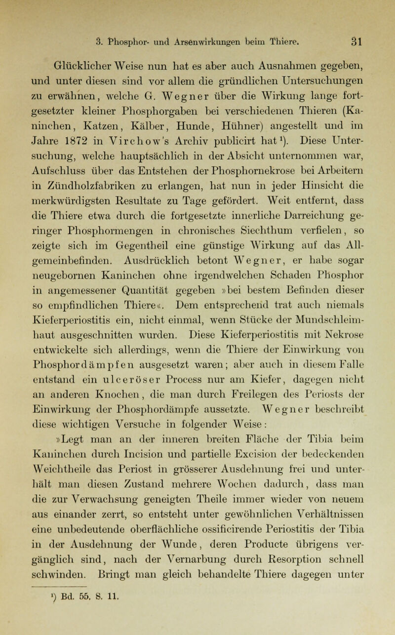 Glücklicher Weise nun hat es aber auch Ausnahmen gegeben, und unter diesen sind vor allem die gründlichen Untersuchungen zu erwähnen, welche G. Wegner über die Wirkung lange fort- gesetzter kleiner Phosphorgaben bei verschiedenen Thieren (Ka- ninchen , Katzen, Kälber, Hunde, Hühner) angestellt und im Jahre 1872 in Virchow's Archiv publicirt hat1). Diese Unter- suchung, welche hauptsächlich in der Absicht unternommen war, Aufschluss über das Entstehen der Phosphornekrose bei Arbeitern in Zündholzfabriken zu erlangen, hat nun in jeder Hinsicht die merkwürdigsten Resultate zu Tage gefördert. Weit entfernt, dass die Thiere etwa durch die fortgesetzte innerliche Darreichung ge- ringer Phosphormengen in chronisches Siechthum verfielen, so zeigte sich im Gegentheil eine günstige Wirkung auf das All- gemeinbefinden. Ausdrücklich betont Wegner, er habe sogar neugebornen Kaninchen ohne irgendwelchen Schaden Phosphor in angemessener Quantität gegeben »bei bestem Befinden dieser so empfindlichen Thiere«. Dem entsprechend trat auch niemals Kieferperiostitis ein, nicht einmal, wenn Stücke der Mundschleim- haut ausgeschnitten wurden. Diese Kieferperiostitis mit Nekrose entwickelte sich allerdings, wenn die Thiere der Einwirkung von Phosphordämpfen ausgesetzt waren; aber auch in diesem Falle entstand ein ulceröser Process nur am Kiefer, dagegen nicht an anderen Knochen, die man durch Freilegen des Periosts der Einwirkung der Phosphordämpfe aussetzte. Wegner beschreibt diese wichtigen Versuche in folgender Weise: »Legt man an der inneren breiten Fläche der Tibia beim Kaninchen durch Incision und partielle Excision der bedeckenden Weichtheile das Periost in grösserer Ausdehnung frei und unter- hält man diesen Zustand mehrere Wochen dadurch, dass man die zur Verwachsung geneigten Theile immer wieder von neuem aus einander zerrt, so entsteht unter gewöhnlichen Verhältnissen eine unbedeutende oberflächliche ossificirende Periostitis der Tibia in der Ausdehnung der Wunde, deren Producte übrigens ver- gänglich sind, nach der Vernarbung durch Resorption schnell schwinden. Bringt man gleich behandelte Thiere dagegen unter ') Bd. 55. S. 11.