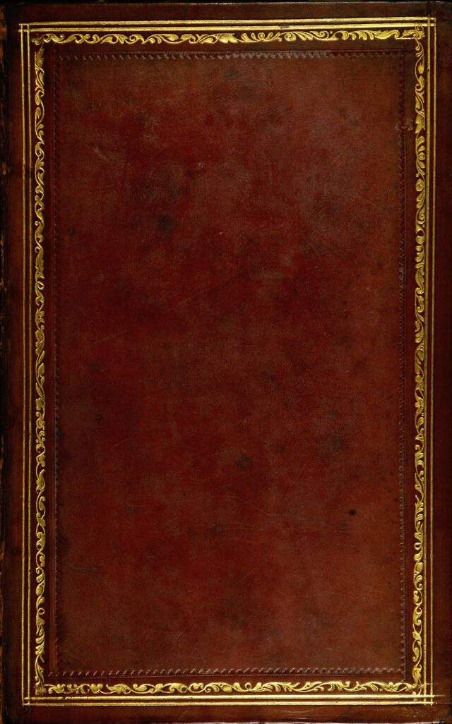 No text description is available for this image