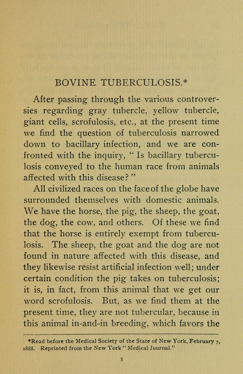 BOVINE TUBERCULOSIS.* After passing through the various controver- sies regarding gray tubercle, yellow tubercle, giant cells, scrofulosis, etc., at the present time we find the question of tuberculosis narrowed down to bacillary infection, and we are con- fronted with the inquiry,  Is bacillary tubercu- losis conveyed to the human race from animals affected with this disease?  All civilized races on the face of the globe have surrounded themselves with domestic animals. We have the horse, the pig, the sheep, the goat, the dog, the cow, and others. Of these we find that the horse is entirely exempt from tubercu- losis. The sheep, the goat and the dog are not found in nature affected with this disease, and they likewise resist artificial infection well; under certain condition the pig takes on tuberculosis; it is, in fact, from this animal that we get our word scrofulosis. But, as we find them at the present time, they are not tubercular, because in this animal in-and-in breeding, which favors the ♦Read before the Medical Society of the State of New York, February 7, 188S. Reprinted from the New York  Medical Journal.