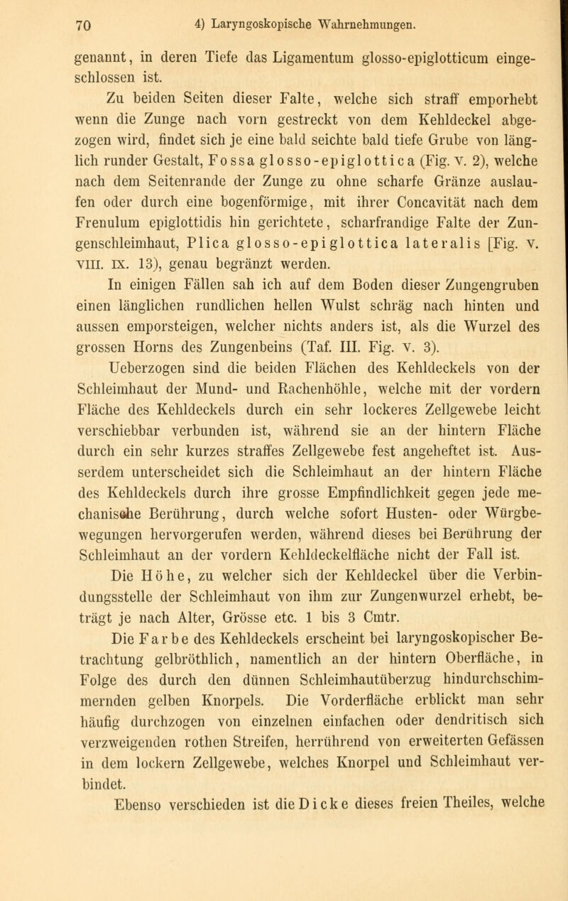 genannt, in deren Tiefe das Ligamentum glosso-epiglotticum einge- schlossen ist. Zu beiden Seiten dieser Falte, welche sich straff emporhebt wenn die Zunge nach vorn gestreckt von dem Kehldeckel abge- zogen wird, findet sich je eine bald seichte bald tiefe Grube von läng- lich runder Gestalt, Fossaglosso-epiglottica (Fig. V. 2), welche nach dem Seitenrande der Zunge zu ohne scharfe Gränze auslau- fen oder durch eine bogenförmige, mit ihrer Concavität nach dem Frenulum epiglottidis hin gerichtete, scharfrandige Falte der Zun- genschleimhaut, Plica glosso-epiglottica lateralis [Fig. v. VIII. ix. 13), genau begränzt werden. In einigen Fällen sah ich auf dem Boden dieser Zungengruben einen länglichen rundlichen hellen Wulst schräg nach hinten und aussen emporsteigen, welcher nichts anders ist, als die Wurzel des grossen Horns des Zungenbeins (Taf. III. Fig. v. 3). Ueberzogen sind die beiden Flächen des Kehldeckels von der Schleimhaut der Mund- und Rachenhöhle, welche mit der vordem Fläche des Kehldeckels durch ein sehr lockeres Zellgewebe leicht verschiebbar verbunden ist, während sie an der hintern Fläche durch ein sehr kurzes straffes Zellgewebe fest angeheftet ist. Aus- serdem unterscheidet sich die Schleimhaut an der hintern Fläche des Kehldeckels durch ihre grosse Empfindlichkeit gegen jede me- chanisöhe Berührung, durch welche sofort Husten- oder Würgbe- wegungen hervorgerufen werden, während dieses bei Berührung der Schleimhaut an der vordem Kehldeckelfläche nicht der Fall ist. Die Höhe, zu welcher sich der Kehldeckel über die Verbin- dungsstelle der Schleimhaut von ihm zur Zungen Wurzel erhebt, be- trägt je nach Alter, Grösse etc. 1 bis 3 Cmtr. Die Farbe des Kehldeckels erscheint bei laryngoskopischer Be- trachtung gelbröthlich, namentlich an der hintern Oberfläche, in Folge des durch den dünnen Schleimhautüberzug hindurchschim- mernden gelben Knorpels. Die Vorderfläche erblickt man sehr häufig durchzogen von einzelnen einfachen oder dendritisch sich verzweigenden rothen Streifen, herrührend von erweiterten Gefässen in dem lockern Zellgewebe, welches Knorpel und Schleimhaut ver- bindet. Ebenso verschieden ist die Dicke dieses freien Theiles, welche