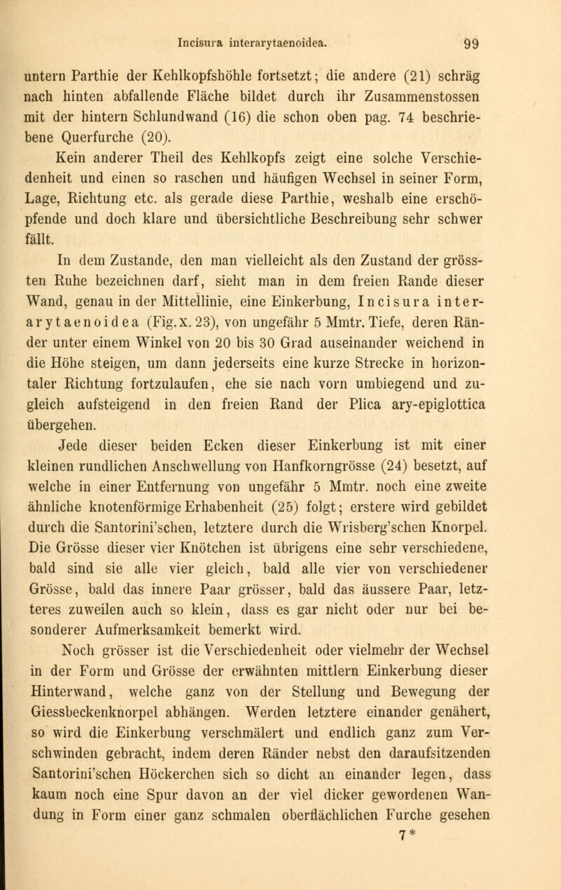 untern Parthie der Kehlkopfshöhle fortsetzt; die andere (21) schräg nach hinten abfallende Fläche bildet durch ihr Zusammenstossen mit der hintern Schlundwand (16) die schon oben pag. 74 beschrie- bene Querfurche (20). Kein anderer Theil des Kehlkopfs zeigt eine solche Verschie- denheit und einen so raschen und häufigen Wechsel in seiner Form, Lage, Richtung etc. als gerade diese Parthie, weshalb eine erschö- pfende und doch klare und übersichtliche Beschreibung sehr schwer fällt. In dem Zustande, den man vielleicht als den Zustand der gröss- ten Ruhe bezeichnen darf, sieht man in dem freien Rande dieser Wand, genau in der Mittellinie, eine Einkerbung, Incisura inter- arytaenoidea (Fig. X. 23), von ungefähr 5 Mmtr. Tiefe, deren Rän- der unter einem Winkel von 20 bis 30 Grad auseinander weichend in die Höhe steigen, um dann jederseits eine kurze Strecke in horizon- taler Richtung fortzulaufen, ehe sie nach vorn umbiegend und zu- gleich aufsteigend in den freien Rand der Plica ary-epiglottica übergehen. Jede dieser beiden Ecken dieser Einkerbung ist mit einer kleinen rundlichen Anschwellung von Hanfkorngrösse (24) besetzt, auf welche in einer Entfernung von ungefähr 5 Mmtr. noch eine zweite ähnliche knotenförmige Erhabenheit (25) folgt; erstere wird gebildet durch die Santorini'schen, letztere durch die Wrisberg'schen Knorpel. Die Grösse dieser vier Knötchen ist übrigens eine sehr verschiedene, bald sind sie alle vier gleich, bald alle vier von verschiedener Grösse, bald das innere Paar grösser, bald das äussere Paar, letz- teres zuweilen auch so klein, dass es gar nicht oder nur bei be- sonderer Aufmerksamkeit bemerkt wird. Noch grösser ist die Verschiedenheit oder vielmehr der Wechsel in der Form und Grösse der erwähnten mittlem Einkerbung dieser Hinterwand, welche ganz von der Stellung und Bewegung der Giessbeckenknorpel abhängen. Werden letztere einander genähert, so wird die Einkerbung verschmälert und endlich ganz zum Ver- schwinden gebracht, indem deren Ränder nebst den daraufsitzenden Santorini'schen Höckerchen sich so dicht an einander legen, dass kaum noch eine Spur davon an der viel dicker gewordenen Wan- dung in Form einer ganz schmalen oberflächlichen Furche gesehen