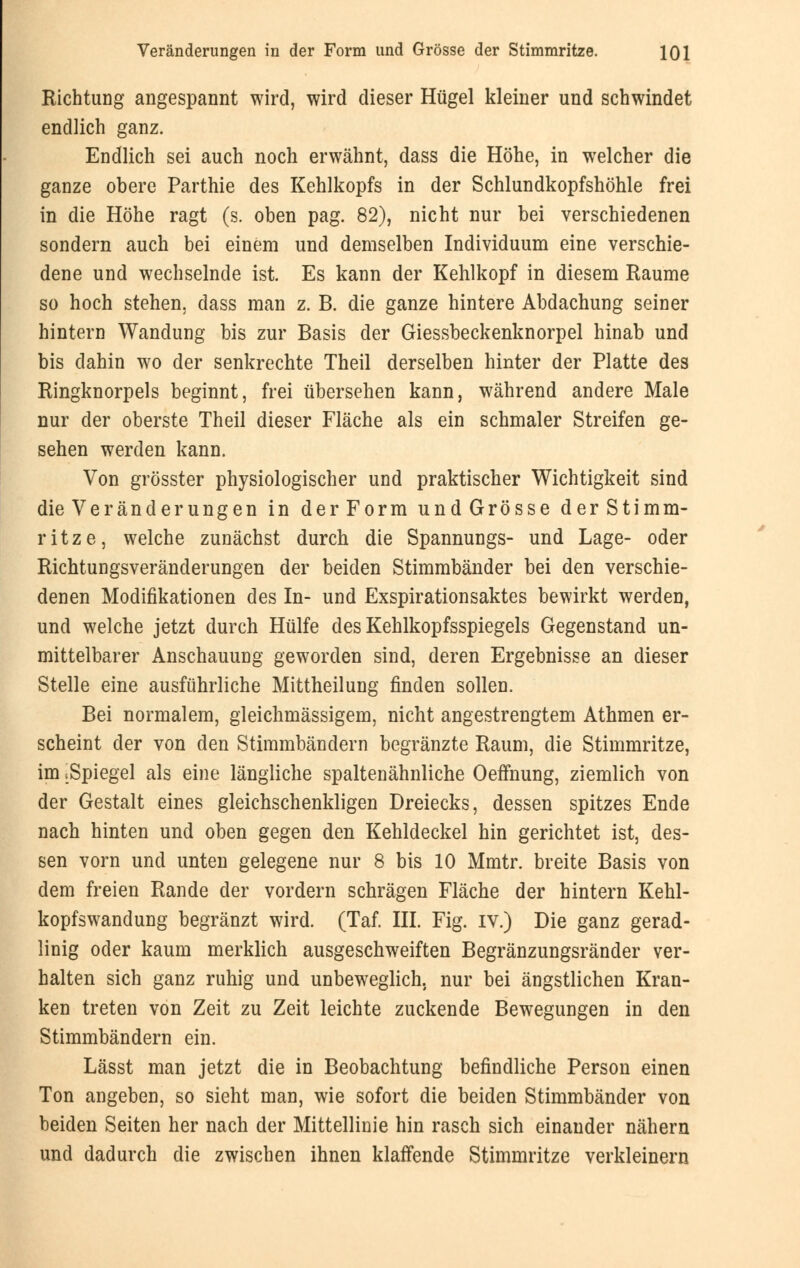 Richtung angespannt wird, wird dieser Hügel kleiner und schwindet endlich ganz. Endlich sei auch noch erwähnt, dass die Höhe, in welcher die ganze obere Parthie des Kehlkopfs in der Schlundkopfshöhle frei in die Höhe ragt (s. oben pag. 82), nicht nur bei verschiedenen sondern auch bei einem und demselben Individuum eine verschie- dene und wechselnde ist. Es kann der Kehlkopf in diesem Räume so hoch stehen, dass man z. B. die ganze hintere Abdachung seiner hintern Wandung bis zur Basis der Giessbeckenknorpel hinab und bis dahin wo der senkrechte Theil derselben hinter der Platte des Ringknorpels beginnt, frei übersehen kann, während andere Male nur der oberste Theil dieser Fläche als ein schmaler Streifen ge- sehen werden kann. Von grösster physiologischer und praktischer Wichtigkeit sind die Veränderungen in derForm undGrösse derStimm- ritze, welche zunächst durch die Spannungs- und Lage- oder Richtungsveränderungen der beiden Stimmbänder bei den verschie- denen Modifikationen des In- und Exspirationsaktes bewirkt werden, und welche jetzt durch Hülfe des Kehlkopfsspiegels Gegenstand un- mittelbarer Anschauung geworden sind, deren Ergebnisse an dieser Stelle eine ausführliche Mittheilung finden sollen. Bei normalem, gleichmässigem, nicht angestrengtem Athmen er- scheint der von den Stimmbändern begränzte Raum, die Stimmritze, im .Spiegel als eine längliche spaltenähnliche Oeffnung, ziemlich von der Gestalt eines gleichschenkligen Dreiecks, dessen spitzes Ende nach hinten und oben gegen den Kehldeckel hin gerichtet ist, des- sen vorn und unten gelegene nur 8 bis 10 Mmtr. breite Basis von dem freien Rande der vordem schrägen Fläche der hintern Kehl- kopfswandung begränzt wird. (Taf. III. Fig. iv.) Die ganz gerad- linig oder kaum merklich ausgeschweiften Begränzungsränder ver- halten sich ganz ruhig und unbeweglich, nur bei ängstlichen Kran- ken treten von Zeit zu Zeit leichte zuckende Bewegungen in den Stimmbändern ein. Lässt man jetzt die in Beobachtung befindliche Person einen Ton angeben, so sieht man, wie sofort die beiden Stimmbänder von beiden Seiten her nach der Mittellinie hin rasch sich einander nähern und dadurch die zwischen ihnen klaffende Stimmritze verkleinern
