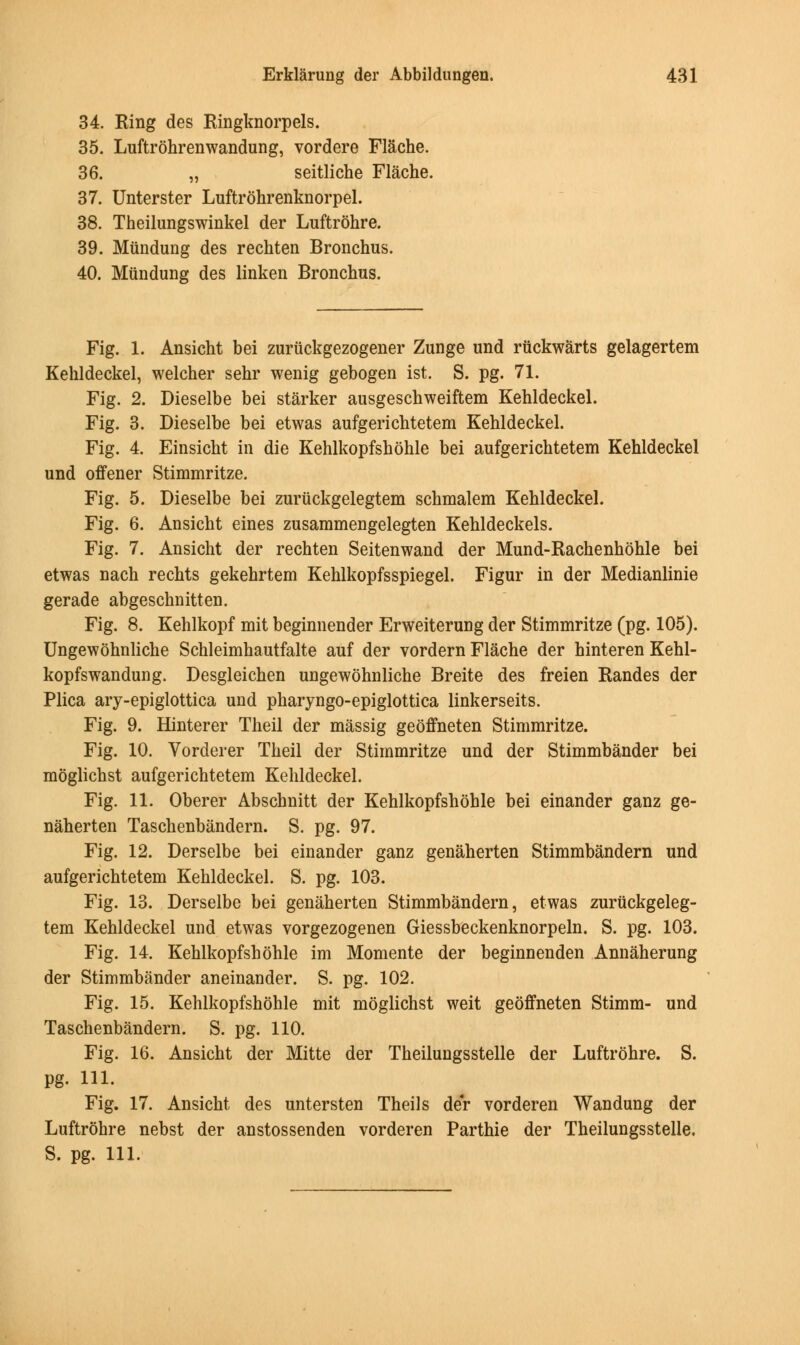 34. Ring des Ringknorpels. 35. Luftrohrenwandung, vordere Flache. 36. „ seitliche Flache. 37. Unterster Luftrohrenknorpel. 38. Theilungswinkel der Luftrohre. 39. Miindung des rechten Bronchus. 40. Miindung des linken Bronchus. Fig. 1. Ansicht bei zuriickgezogener Zunge und ruckwarts gelagertem Kehldeckel, welcher sehr wenig gebogen ist. S. pg. 71. Fig. 2. Dieselbe bei starker ausgeschweiftem Kehldeckel. Fig. 3. Dieselbe bei etwas aufgerichtetem Kehldeckel. Fig. 4. Einsicht in die Kehlkopfshohle bei aufgerichtetem Kehldeckel und offener Stimmritze. Fig. 5. Dieselbe bei zuriickgelegtem schmalem Kehldeckel. Fig. 6. Ansicht eines zusammengelegten Kehldeckels. Fig. 7. Ansicht der rechten Seitenwand der Mund-Rachenhbhle bei etwas nach rechts gekehrtem Kehlkopfsspiegel. Figur in der Medianlinie gerade abgeschnitten. Fig. 8. Kehlkopf mit beginnender Erweiterung der Stimmritze (pg. 105). Ungewohnliche Schleimhautfalte auf der vordern Flache der hinteren Kehl- kopfswandung. Desgleichen ungewohnliche Breite des freien Randes der Plica ary-epiglottica und pharyngo-epiglottica linkerseits. Fig. 9. Hinterer Theil der massig geoffneten Stimmritze. Fig. 10. Vorderer Theil der Stimmritze und der Stimmbander bei moglichst aufgerichtetem Kehldeckel. Fig. 11. Oberer Abschnitt der Kehlkopfshohle bei einander ganz ge- naherten Taschenbandern. S. pg. 97. Fig. 12. Derselbe bei einander ganz genaherten Stimmbandern und aufgerichtetem Kehldeckel. S. pg. 103. Fig. 13. Derselbe bei genaherten Stimmbandern, etwas zuriickgeleg- tem Kehldeckel und etwas vorgezogenen Giessbeckenknorpeln. S. pg. 103. Fig. 14. Kehlkopfshohle im Momente der beginnenden Annaherung der Stimmbander aneinander. S. pg. 102. Fig. 15. Kehlkopfshohle mit moglichst weit geoffneten Stimm- und Taschenbandern. S. pg. 110. Fig. 16. Ansicht der Mitte der Theilungsstelle der Luftrohre. S. pg. HI. Fig. 17. Ansicht des untersten Theils der vorderen Wandung der Luftrohre nebst der anstossenden vorderen Parthie der Theilungsstelle. S. pg. 111.