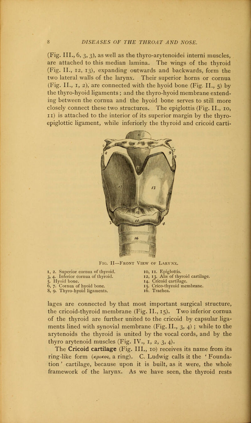 (Fig. III., 6, 3, 3), as well as the thyro-arytenoidei interni muscles, are attached to this median lamina. The wings of the thyroid (Fig. II., 12, 13), expanding outwards and backwards, form the two lateral walls of the larynx. Their superior horns or cornua (Fig. II., 1, 2), are connected with the hyoid bone (Fig. II., 5) by the thyro-hyoid ligaments ; and the thyro-hyoid membrane extend- ing between the cornua and the hyoid bone serves to still more closely connect these two structures. The epiglottis (Fig. II., 10, n) is attached to the interior of its superior margin by the thyro- epiglottic ligament, while inferiorly the thyroid and cricoid carti- Fig. II—Front View of Larynx. 1, 2. Superior cornua of thyroid. 3, 4. Inferior cornua of thyroid. 5. Hyoid bone. 6, 7. Cornua of hyoid bone. 8, 9. Thyro-hyoid ligaments. 10, 11. Epiglottis. 12, 13. Alse of thyroid cartilage. 14. Cricoid cartilage. 15. Crico-thyroid membrane. 16. Trachea. lages are connected by that most important surgical structure, the cricoid-thyroid membrane (Fig. II., 15). Two inferior cornua of the thyroid are further united to the cricoid by capsular liga- ments lined with synovial membrane (Fig. II., 3, 4) ; while to the arytenoids the thyroid is united by the vocal cords, and by the thyro arytenoid muscles (Fig. IV., 1, 2, 3, 4). The Cricoid cartilage (Fig. III., 10) receives its name from its ring-like form (/cptKo?, a ring). C. Ludwig calls it the ' Founda- tion ' cartilage, because upon it is built, as it were, the whole framework of the larynx. As we have seen, the thyroid rests