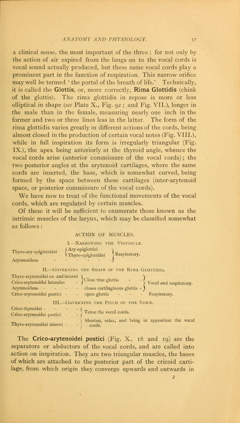 a clinical sense, the most important of the three ; for not only by the action of air expired from the lungs on to the vocal cords is vocal sound actually produced, but these same vocal cords play a prominent part in the function of respiration. This narrow orifice may well be termed ' the portal of the breath of life.' Technically, it is called the Glottis, or, more correctly, Rima Glottidis (chink of the glottis). The rima glottidis in repose is more or less elliptical in shape (see Plate X., Fig. 92 ; and Fig. VII.), longer in the male than in the female, measuring nearly one inch in the former and two or three lines less in the latter. The form of the rima glottidis varies greatly in different actions of the cords, being almost closed in the production of certain vocal notes (Fig. VIII.), while in full inspiration its form is irregularly triangular (Fig. IX.), the apex being anteriorly at the thyroid angle, whence the vocal cords arise (anterior commissure of the vocal cords); the two posterior angles at the arytenoid cartilages, where the same cords are inserted, the base, which is somewhat curved, being formed by the space between these cartilages (inter-arytenoid space, or posterior commissure of the vocal cords). We have now to treat of the functional movements of the vocal cords, which are regulated by certain muscles. Of these it will be sufficient to enumerate those known as the intrinsic muscles of the larynx, which may be classified somewhat as follows : ACTION OF MUSCLES. I.—Narrowing the Vestibule. ~, . , ., . (Ary-epielottici ■ I hyro-ary-epiglottiaei - ; r& 0 • . 3 y FS (Thyro-epiglottidei 'Respiratory. Arytenoideus - - - - - - -J II.—Governing the Shape of the Rima Glottidis. Thyro-arytenoidei ex-andinterni \ . ) Crico-arytenoidei laterales - j °Se me g° b C Vocal and respiratory. Arytenoideus - closes cartilaginous glottis - j Crico-arytenoidei postici - - open glottis - - - Respiratory. III.—Governing the Pitch of the Voice. Crico-thyroidei - - - - | Crico-arytenoidei postici Tense the vocal cords. ) Shorten, relax, and bring in apposition the vocal Thyro-arytenoidei interni - - cords. The Crico-arytenoidei postici (Fig. X., 18 and 19) are the separators or abductors of the vocal cords, and are called into action on inspiration. They are two triangular muscles, the bases of which are attached to the posterior part of the cricoid carti- lage, from which origin they converge upwards and outwards in
