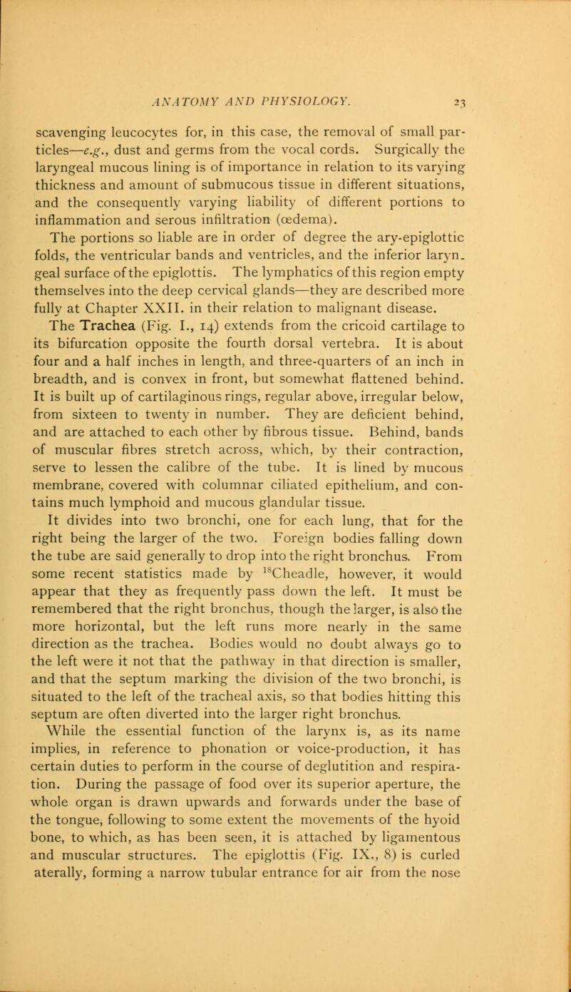 scavenging leucocytes for, in this case, the removal of small par- ticles—e.g., dust and germs from the vocal cords. Surgically the laryngeal mucous lining is of importance in relation to its varying thickness and amount of submucous tissue in different situations, and the consequently varying liability of different portions to inflammation and serous infiltration (oedema). The portions so liable are in order of degree the ary-epiglottic folds, the ventricular bands and ventricles, and the inferior laryn. geal surface of the epiglottis. The lymphatics of this region empty themselves into the deep cervical glands—they are described more fully at Chapter XXII. in their relation to malignant disease. The Trachea (Fig. I., 14) extends from the cricoid cartilage to its bifurcation opposite the fourth dorsal vertebra. It is about four and a half inches in length, and three-quarters of an inch in breadth, and is convex in front, but somewhat flattened behind. It is built up of cartilaginous rings, regular above, irregular below, from sixteen to twenty in number. They are deficient behind, and are attached to each other by fibrous tissue. Behind, bands of muscular fibres stretch across, which, by their contraction, serve to lessen the calibre of the tube. It is lined by mucous membrane, covered with columnar ciliated epithelium, and con- tains much lymphoid and mucous glandular tissue. It divides into two bronchi, one for each lung, that for the right being the larger of the two. Foreign bodies falling down the tube are said generally to drop into the right bronchus. From some recent statistics made by lsCheadle, however, it would appear that they as frequently pass down the left. It must be remembered that the right bronchus, though the larger, is also the more horizontal, but the left runs more nearly in the same direction as the trachea. Bodies would no doubt always go to the left were it not that the pathway in that direction is smaller, and that the septum marking the division of the two bronchi, is situated to the left of the tracheal axis, so that bodies hitting this septum are often diverted into the larger right bronchus. While the essential function of the larynx is, as its name implies, in reference to phonation or voice-production, it has certain duties to perform in the course of deglutition and respira- tion. During the passage of food over its superior aperture, the whole organ is drawn upwards and forwards under the base of the tongue, following to some extent the movements of the hyoid bone, to which, as has been seen, it is attached by ligamentous and muscular structures. The epiglottis (Fig. IX., 8) is curled aterally, forming a narrow tubular entrance for air from the nose