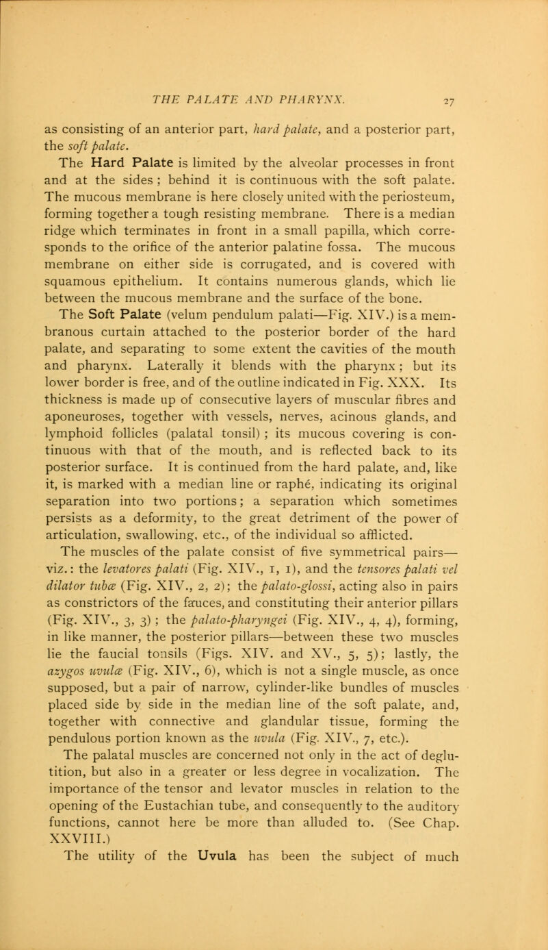 as consisting of an anterior part, hard palate, and a posterior part, the soft palate. The Hard Palate is limited by the alveolar processes in front and at the sides ; behind it is continuous with the soft palate. The mucous membrane is here closely united with the periosteum, forming together a tough resisting membrane. There is a median ridge which terminates in front in a small papilla, which corre- sponds to the orifice of the anterior palatine fossa. The mucous membrane on either side is corrugated, and is covered with squamous epithelium. It contains numerous glands, which lie between the mucous membrane and the surface of the bone. The Soft Palate (velum pendulum palati—Fig. XIV.) is a mem- branous curtain attached to the posterior border of the hard palate, and separating to some extent the cavities of the mouth and pharynx. Laterally it blends with the pharynx; but its lower border is free, and of the outline indicated in Fig. XXX. Its thickness is made up of consecutive layers of muscular fibres and aponeuroses, together with vessels, nerves, acinous glands, and lymphoid follicles (palatal tonsil) ; its mucous covering is con- tinuous with that of the mouth, and is reflected back to its posterior surface. It is continued from the hard palate, and, like it, is marked with a median line or raphe, indicating its original separation into two portions; a separation which sometimes persists as a deformity, to the great detriment of the power of articulation, swallowing, etc., of the individual so afflicted. The muscles of the palate consist of five symmetrical pairs— viz.: the levatorespalati (Fig. XIV., 1, 1), and the tensorespalati vel dilator tuba' (Fig. XIV., 2, 2); the palato-glossi, acting also in pairs as constrictors of the fauces, and constituting their anterior pillars (Fig. XIV., 3, 3) ; the palato-pharyngei (Fig. XIV., 4, 4), forming, in like manner, the posterior pillars—between these two muscles lie the faucial tonsils (Figs. XIV. and XV., 5, 5); lastly, the azygos uvula (Fig. XIV., 6), which is not a single muscle, as once supposed, but a pair of narrow, cylinder-like bundles of muscles placed side by side in the median line of the soft palate, and, together with connective and glandular tissue, forming the pendulous portion known as the uvula (Fig. XIV., 7, etc.). The palatal muscles are concerned not only in the act of deglu- tition, but also in a greater or less degree in vocalization. The importance of the tensor and levator muscles in relation to the opening of the Eustachian tube, and consequently to the auditory functions, cannot here be more than alluded to. (See Chap. XXVIII.) The utility of the Uvula has been the subject of much