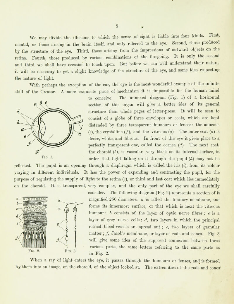 We may divide the illusions to which the sense of sight is liable into four kinds. First, mental or those arising in the brain itself, and only referred to the eye. Second, those produced by the structure of the eye. Third, those arising from the impressions of outward objects on the retina. Fourth, those produced by various combinations of the foregoing. It is only the second and third we shall have occasion to touch upon. But before we can well understand their nature, it will be necessary to get a slight knowledge of the structure of the eye, and some idea respecting the nature of light. With perhaps the exception of the ear, the eye is the most wonderful example of the infinite skill of the Creator. A more exquisite piece of mechanism it is impossible for the human mind to conceive. The annexed diagram (Fig. 1) of a horizontal section of this organ will give a better idea of its general structure than whole pages of letter-press. It will be seen to consist of a globe of three envelopes or coats, which are kept distended by three transparent humours or lenses: the aqueous (e), the crystalline (f), and the vitreous (g). The outer coat (a) is dense, white, and fibrous. In front of the eye it gives place to a perfectly transparent one, called the cornea (d). The next coat, the choroid (b), is vascular, very black on its internal surface, ini order that light falling on it through the pupil (h) may not be reflected. The pupil is an opening through a diaphragm which is called the iris (t), from its colour varying in different individuals. It has the power of expanding and contracting the pupil, for the purpose of regulating the supply of light to the retina (c), or third and last coat which lies immediately on the choroid. It is transparent, very complex, and the only part of the eye we shall carefully consider. The following diagram (Fig. 2) represents a section of it magnified 250 diameters, a is called the limitary membrane, and forms its innermost surface, or that which is next the vitreous humour; b consists of the layer of optic nerve fibres; c is a layer of grey nerve cells; d, two layers in which the principal retinal blood-vessels are spread out; e, two layers of granular matter; /, Jacob's membrane, or layer of rods and cones. Fig. 3 will give some idea of the supposed connexion between these various parts, the same letters referring to the same parts as in Fig. 2. When a ray of light enters the eye, it passes through the humours or lenses, and is formed by them into an image, on the choroid, of the object looked at. The extremities of the rods and cones' Fig. 1. Fig. 2. Fig. 3.