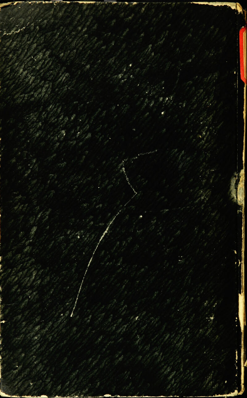 . -Ç/' MU JeQPIfif1 h9t $99 > -' ■pVa Ens p / Lsl Km SB» i