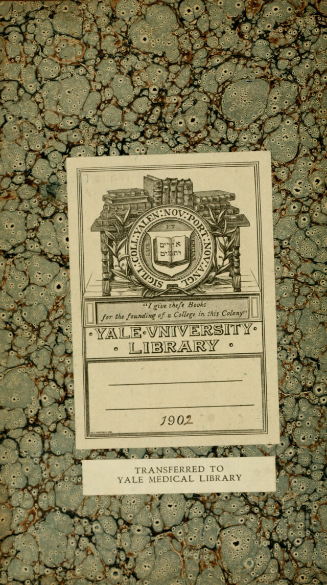 digitised image 2