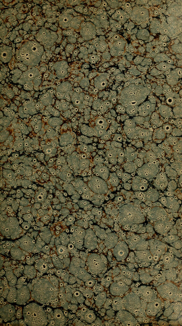 digitised image 3
