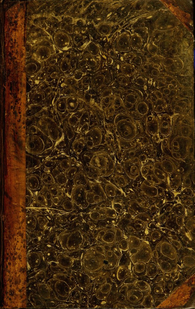 No text description is available for this image