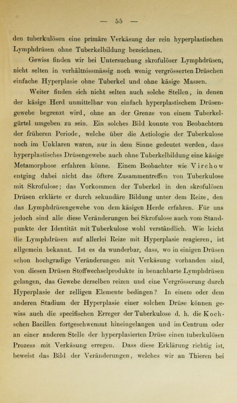 den tuberkulösen eine primäre Verkäsung der rein hyperplastischen Lymphdrüsen ohne Tuberkelbildung bezeichnen. Gewiss finden wir bei Untersuchung skrofulöser Lymphdrüsen, nicht selten in verhältnissmässig noch wenig vergrösserten Drüschen einfache Hyperplasie ohne Tuberkel und ohne käsige Massen. Weiter finden sich nicht selten auch solche Stellen, in denen der käsige Herd unmittelbar von einfach hyperplastischem Drüsen« gewebe begrenzt wird, ohne an der Grenze von einem Tuberkel- gürtel umgeben zu sein. Ein solches Bild konnte von Beobachtern der früheren Periode, welche über die Aetiologie der Tuberkulose noch im Unklaren waren, nur in dem Sinne gedeutet werden, dass hyperplastisches Drüsengewebe auch ohne Tuberkelbildung eine käsige Metamorphose erfahren könne. Einem Beobachter wie Virchow entging dabei nicht das öftere Zusammentreffen von Tuberkulose mit Skrofulöse; das Vorkommen der Tuberkel in den skrofulösen Drüsen erklärte er durch sekundäre Bildung unter dem Reize, den das Lymplulrüsengewebe von dem käsigen Herde erfahren. Für uns jedoch sind alle diese Veränderungen bei Skrofulöse auch vom Stand- punkte der Identität mit Tuberkulose wohl verständlieh. Wie leicht die Lymphdrüsen auf allerlei Reize mit Hyperplasie reagieren, ist allgemein bekannt. Ist es da wunderbar, dass, wo in einigen Drüsen schon hochgradige Veränderungen mit Verkäsung vorhanden sind, von diesen Drüsen Stoffwechselprodukte in benachbarte Lymphdrüsen gelangen, das Gewebe derselben reizen und eine Vergrösserung durch Hyperplasie der zelligeu Elemente bedingen? In einem oder dem anderen Stadium der Hyperplasie einer solchen Drüse können ge- wiss auch die speeifischen Erreger der Tuberkulose d. h. dieKoch- schen Bacillen fortgeschwemmt hineingelangen und im Centrum. oder an einer anderen Stelle der hyperplasierten Drüse einen tuberkulösen l'ro/.ess mit Verkäsung erregen. Dass diese Erklärung richtig ist, beweist das Bild der Veränderungen, welches wir an Thieren bei