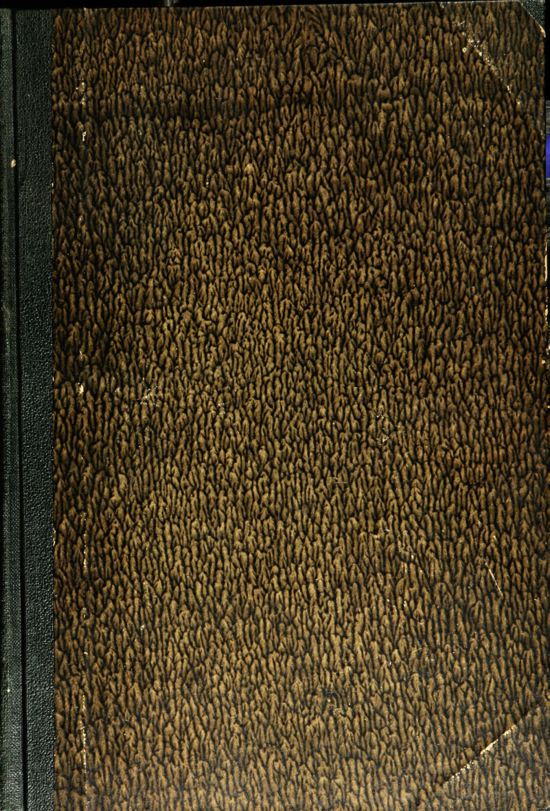 Www i, F»i(ij/i t nw |