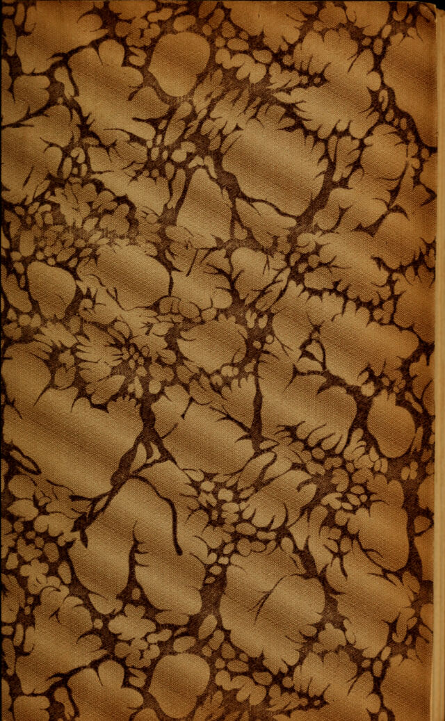 digitised image 3