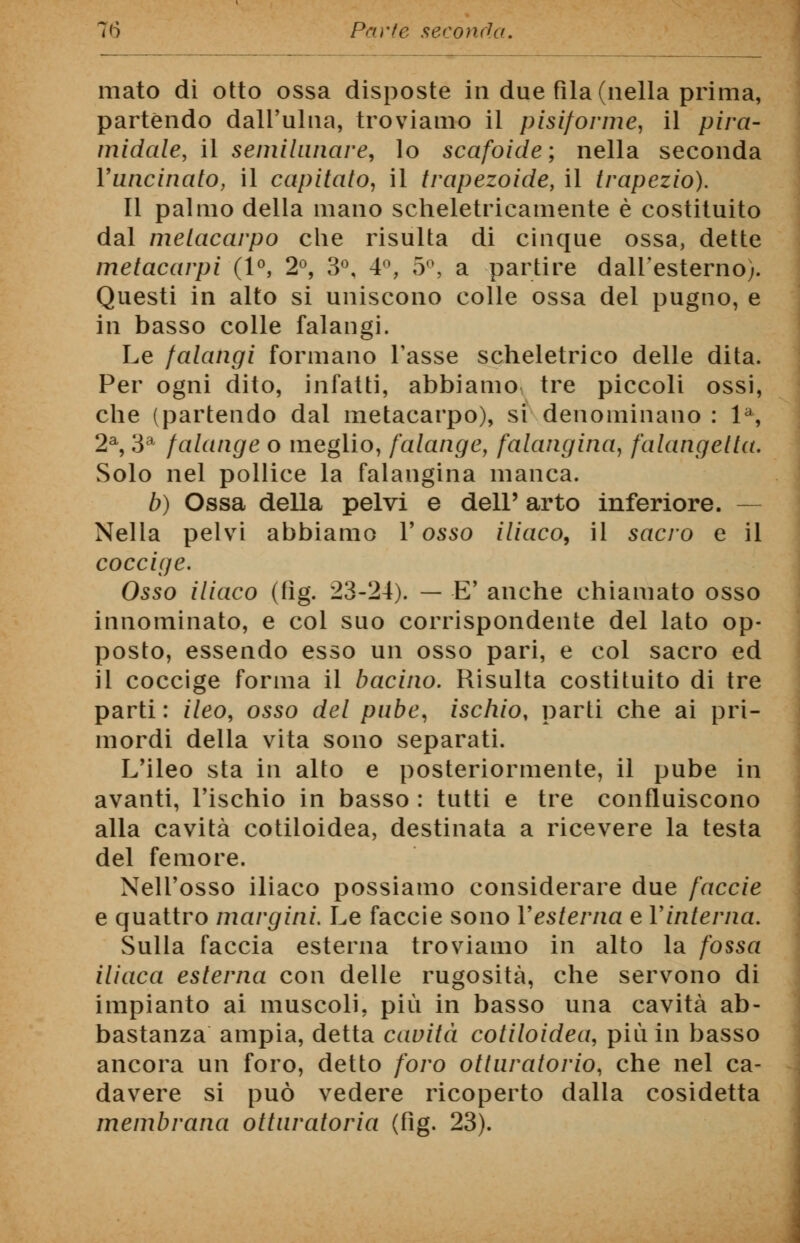 mato di otto ossa disposte in due fila (nella prima, partendo dall'ulna, troviamo il fusiforme, il pira- midale, il semilunare, lo scafoide; nella seconda l'uncinato, il capitato, il trapezoide, il trapezio). Il palmo della mano scheletricamente è costituito dal metacarpo che risulta di cinque ossa, dette metacarpi (1°, 2°, 3°, 4°, 5°, a partire dall'esterno). Questi in alto si uniscono colle ossa del pugno, e in basso colle falangi. Le falangi formano Tasse scheletrico delle dita. Per ogni dito, infatti, abbiamo tre piccoli ossi, che (partendo dal metacarpo), si denominano : la, 2a, 3a falange o meglio, falange, falangina, falangetta. Solo nel pollice la falangina manca. b) Ossa della pelvi e dell' arto inferiore. Nella pelvi abbiamo V osso iliaco, il sacro e il coccige. Osso iliaco (fìg. 23-24). — E' anche chiamato osso innominato, e col suo corrispondente del lato op- posto, essendo esso un osso pari, e col sacro ed il coccige forma il bacino. Risulta costituito di tre parti : ileo, osso del pube, ischio, parti che ai pri- mordi della vita sono separati. L'ileo sta in alto e posteriormente, il pube in avanti, l'ischio in basso : tutti e tre confluiscono alla cavità cotiloidea, destinata a ricevere la testa del femore. Nell'osso iliaco possiamo considerare due facete e quattro margini. Le faccie sono Vesterna e l'interna. Sulla faccia esterna troviamo in alto la fossa iliaca esterna con delle rugosità, che servono di impianto ai muscoli, più in basso una cavità ab- bastanza ampia, detta cavità cotiloidea, più in basso ancora un foro, detto foro otturatorio, che nel ca- davere si può vedere ricoperto dalla cosidetta membrana otturatoria (fìg. 23).