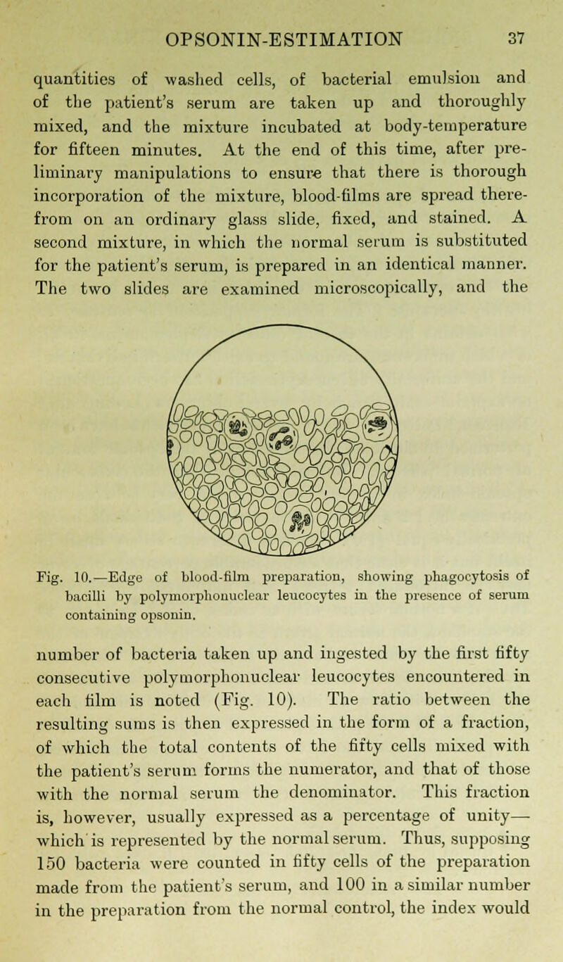 quantities of washed cells, of bacterial emulsion and of the patient's serum are taken up and thoroughly mixed, and the mixture incubated at body-temperature for fifteen minutes. At the end of this time, after pre- liminary manipulations to ensure that there is thorough incorporation of the mixture, blood-films are spread there- from on an ordinary glass slide, fixed, and stained. A second mixture, in which the normal serum is substituted for the patient's serum, is prepared in an identical manner. The two slides are examined microscopically, and the Fig. 10.—Edge of blood-film preparation, showing phagocytosis of bacilli by polymorphonuclear leucocytes in the presence of serum containing opsonin. number of bacteria taken up and ingested by the first fifty consecutive polymorphonuclear leucocytes encountered in each film is noted (Fig. 10). The ratio between the resulting sums is then expressed in the form of a fraction, of which the total contents of the fifty cells mixed with the patient's serum forms the numerator, and that of those with the normal serum the denominator. This fraction is, however, usually expressed as a percentage of unity— which is represented by the normal serum. Thus, supposing 150 bacteria were counted in fifty cells of the preparation made from the patient's serum, and 100 in a similar number in the preparation from the normal control, the index would