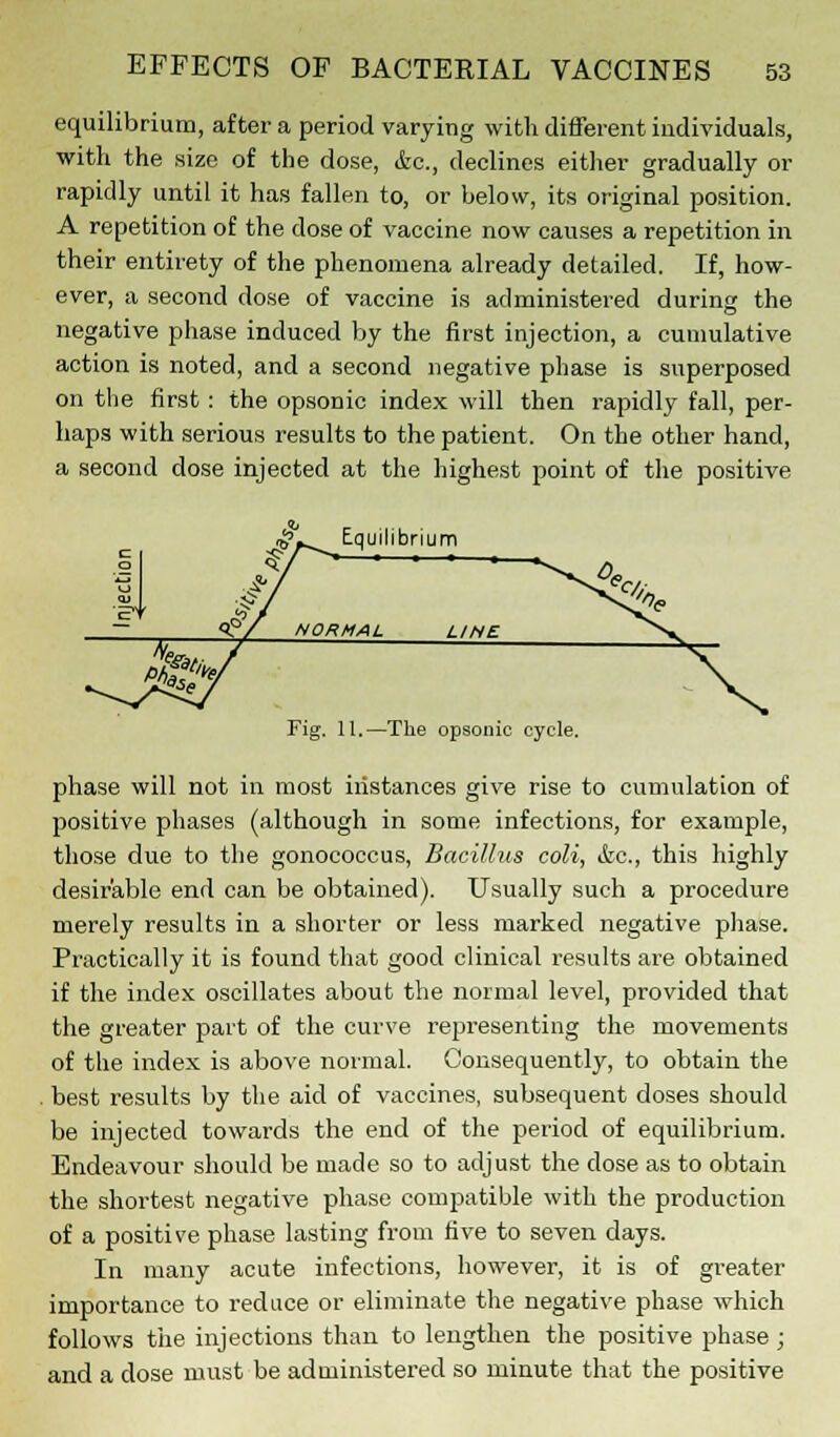 equilibrium, after a period varying with different individuals, with the size of the dose, &c, declines either gradually or rapidly until it has fallen to, or below, its original position. A repetition of the dose of vaccine now causes a repetition in their entirety of the phenomena already detailed. If, how- ever, a second dose of vaccine is administered during the negative phase induced by the first injection, a cumulative action is noted, and a second negative phase is superposed on the first: the opsonic index will then rapidly fall, per- haps with serious results to the patient. On the other hand, a second dose injected at the highest point of the positive ,5V Equilibrium $7^- ■ ■ Fig. 11.—The opsonic cycle. phase will not in most instances give rise to cumulation of positive phases (although in some infections, for example, those due to the gonococcus, Bacillus coli, <fec, this highly desirable end can be obtained). Usually such a procedure merely results in a shorter or less marked negative phase. Practically it is found that good clinical results are obtained if the index oscillates about the normal level, provided that the greater part of the curve representing the movements of the index is above normal. Consequently, to obtain the . best results by the aid of vaccines, subsequent doses should be injected towards the end of the period of equilibrium. Endeavour should be made so to adjust the dose as to obtain the shortest negative phase compatible with the production of a positive phase lasting from five to seven days. In many acute infections, however, it is of greater importance to reduce or eliminate the negative phase which follows the injections than to lengthen the positive phase; and a dose must be administered so minute that the positive