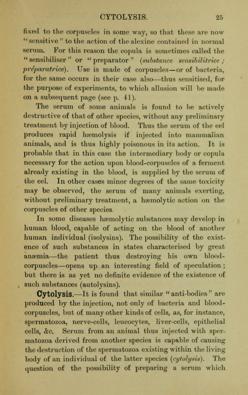 fixed to the corpuscles in some way, so that these are now sensitive to the action of tlie alexine contained in normal serum. For this reason the copnla is sometimes called the  sensibiliser  or  preparator  (substance sensibilitrice ; prrparatrice). Use is made of corpuscles—or of bacteria, for the same occurs in their case also—thus sensitised, for the purpose of experiments, to which allusion will be made on a subsequent page (see p. 41). The serum of some animals is found to be actively destructive of that of other species, without any preliminary treatment by injection of blood. Thus the serum of the eel produces rapid hemolysis if injected into mammalian animals, and is thus highly poisonous in its action. It is probable that in this case the intermediary body or copula necessary for the action upon blood-corpuscles of a ferment already existing in the blood, is supplied by the serum of the eel. In other cases minor degrees of the .one toxicity may be observed, the serum of many animals exerting, without preliminary treatment, a hemolytic action on the corpuscles of other species. In some diseases hemolytic substances may develop in human blood, capable of acting on the blood of another human individual (isolysins). The possibility of the exist- ence of such substances in states characterised by great anaemia—the patient thus destroying his own blood- corpuscles—opens up an interesting field of speculation ; but there is as yet no definite evidence of the existence of such substances (autolysins). Cytolysis.—It is found that similar  anti-bodies  are produced by the injection, not only of bacteria and blood' corpuscles, but of many other kinds of cells, as, for instance, spermatozoa, nerve-cells, leucocytes, liver-cells, epithelial cells, ifcc. Serum from an animal thus injected with sper- matozoa derived from another species is capable of causing the destruction of the spermatozoa existing within the living body of an individual of the latter species (cytolysis). The question of the possibility of preparing a serum which