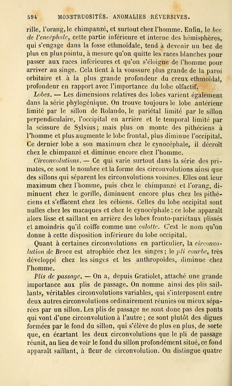 rille, l'orang,le chimpanzé, et surtout chez l'homme. Enfin, le bec de l'encéphale, celte partie inférieure et interne des hémisphères, qui s'engage clans la fosse elhmoïdale, tend à devenir un bec de plus en plus pointu, à mesure qu'on quitte les races blanches pour passer aux races inférieures et qu'on s'éloigne de l'homme pour arriver au singe. Cela tient à la voussure plus grande de la paroi orbitaire et à la plus grande profondeur du creux ethmoïdal, profondeur en rapport avec l'importance du lobe olfactif. Lobes. — Les dimensions relatives des lobes varient également dans la série phylogénique. On trouve toujours le lobe antérieur limité par le sillon de Rolando, le pariétal limité par le sillon perpendiculaire, l'occipital en arrière et le temporal limité par la scissure de Sylvius; mais plus on monte des pithéciens à l'homme et plus augmente le lobe frontal, plus diminue l'occipital. Ce dernier lobe a son maximum chez le cynocéphale, il décroît chez le chimpanzé et diminue encore chez l'homme. Circonvolutions. — Ce qui varie surtout dans la série des pri- mates, ce sont le nombre et la forme des circonvolutions ainsi que des sillons qui séparent les circonvolutions voisines. Elles ont leur maximum chez l'homme, puis chez le chimpanzé et l'orang, di- minuent chez le gorille, diminuent encore plus chez les pithé- ciens et s'effacent chez les cébiens. Celles du lobe occipital sont nulles chez les macaques et chez le cynocéphale; ce lobe apparaît alors lisse et saillant en arrière des lobes fronto-pariétaux plissés et amoindris qu'il coiffe comme une calotte. C'est le nom qu'on donne à cette disposition inférieure du lobe occipital. Quant à certaines circonvolutions en particulier, la circonvo- lution de Broca est atrophiée chez les singes ; le pli courbe, très développé chez les singes et les anthropoïdes, diminue chez l'homme. Plis de passage. — On a, depuis Gratiolet, attaché une grande importance aux plis de passage. On nomme ainsi des plis sail- lants, véritables circonvolutions variables, qui s'interposent entre deux autres circonvolutions ordinairement réunies ou mieux sépa- rées par un sillon. Les plis de passage ne sont donc pas des ponts qui vont d'une circonvolution à l'autre ; ce sont plutôt des digues formées par le fond du sillon, qui s'élève de plus en plus, de sorte que, en écartant les deux circonvolutions que le pli de passage réunit, au lieu de voir le fond du sillon profondément situé, ce fond apparaît saillant, à fleur de circonvolution. On distingue quatre