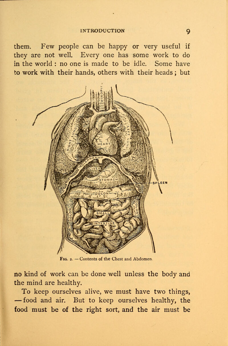 them. Few people can be happy or very useful if they are not well. Every one has some work to do in the world : no one is made to be idle. Some have to work with their hands, others with their heads; but Fig. 2. —Contents of the Chest and Abdomen. no kind of work can be done well unless the body and the mind are healthy. To keep ourselves alive, we must have two things, — food and air. But to keep ourselves healthy, the food must be of the right sort, and the air must be