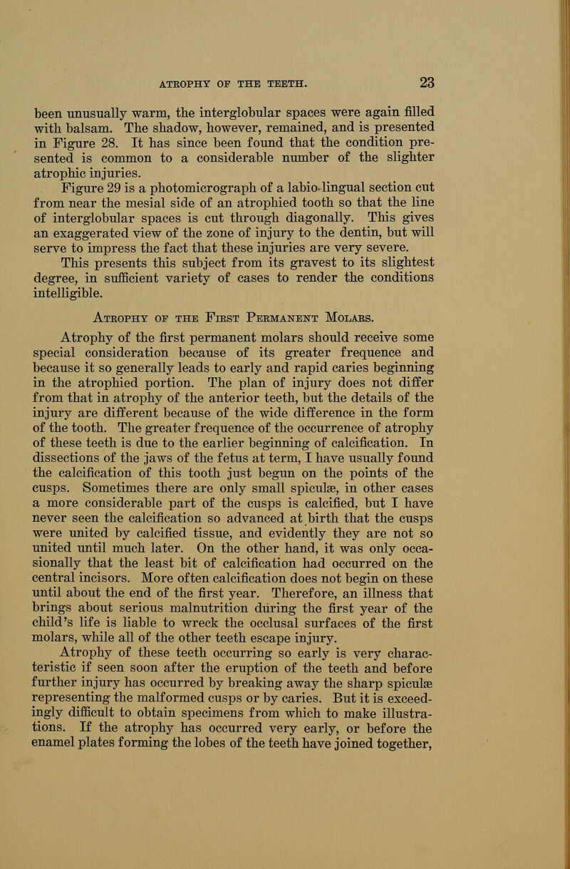 been unusually warm, the interglobular spaces were again filled with balsam. The shadow, however, remained, and is presented in Figure 28. It has since been found that the condition pre- sented is common to a considerable number of the slighter atrophic injuries. Figure 29 is a photomicrograph of a labio-lingual section cut from near the mesial side of an atrophied tooth so that the line of interglobular spaces is cut through diagonally. This gives an exaggerated view of the zone of injury to the dentin, but will serve to impress the fact that these injuries are very severe. This presents this subject from its gravest to its slightest degree, in sufficient variety of cases to render the conditions intelligible. Ateopht op the Fikst Peemanent Molaes. Atrophy of the first permanent molars should receive some special consideration because of its greater frequence and because it so generally leads to early and rapid caries beginning in the atrophied portion. The plan of injury does not differ from that in atrophy of the anterior teeth, but the details of the injury are different because of the wide difference in the form of the tooth. The greater frequence of the occurrence of atrophy of these teeth is due to the earlier beginning of calcification. In dissections of the jaws of the fetus at term, I have usually found the calcification of this tooth just begun on the points of the cusps. Sometimes there are only small spiculse, in other cases a more considerable part of the cusps is calcified, but I have never seen the calcification so advanced at birth that the cusps were united by calcified tissue, and evidently they are not so united until much later. On the other hand, it was only occa- sionally that the least bit of calcification had occurred on the central incisors. More often calcification does not begin on these until about the end of the first year. Therefore, an illness that brings about serious malnutrition during the first year of the child's life is liable to wreck the occlusal surfaces of the first molars, while all of the other teeth escape injury. Atrophy of these teeth occurring so early is very charac- teristic if seen soon after the eruption of the teeth and before further injury has occurred by breaking away the sharp spiculss representing the malformed cusps or by caries. But it is exceed- ingly difficult to obtain specimens from which to make illustra- tions. If the atrophy has occurred very early, or before the enamel plates forming the lobes of the teeth have joined together,