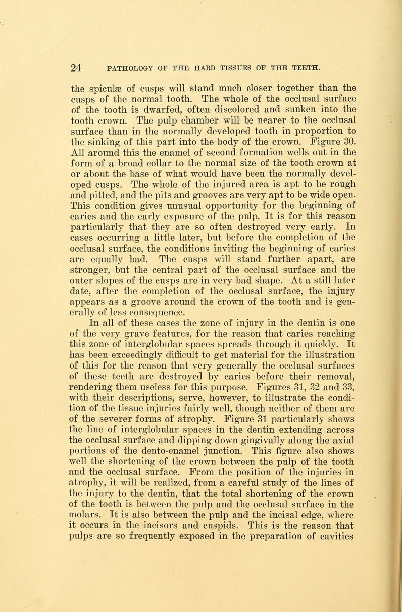 the spicules of cusps will stand much closer together than the cusps of the normal tooth. The whole of the occlusal surface of the tooth is dwarfed, often discolored and sunken into the tooth crown. The pulp chamber will be nearer to the occlusal surface than in the normally developed tooth in proportion to the sinking of this part into the body of the crown. Figure 30. All around this the enamel of second formation wells out in the form of a broad collar to the normal size of the tooth crown at or about the base of what would have been the normally devel- oped cusps. The whole of the injured area is apt to be rough and pitted, and the pits and grooves are very apt to be wide open. This condition gives unusual opportunity for the beginning of caries and the early exposure of the pulp. It is for this reason particularly that they are so often destroyed very early. In cases occurring a little later, but before the completion of the occlusal surface, the conditions inviting the beginning of caries are equally bad. The cusps will stand further apart, are stronger, but the central part of the occlusal surface and the outer slopes of the cusps are in very bad shape. At a still later date, after the completion of the occlusal surface, the injury appears as a groove around the crown of the tooth and is gen- erally of less consequence. In all of these cases the zone of injury in the dentin is one of the very grave features, for the reason that caries reaching this zone of interglobular spaces spreads through it quickly. It has been exceedingly difficult to get material for the illustration of this for the reason that very generally the occlusal surfaces of these teeth are destroyed by caries before their removal, rendering them useless for this purpose. Figures 31, 32 and 33, with their descriptions, serve, however, to illustrate the condi- tion of the tissue injuries fairly well, though neither of them are of the severer forms of atrophy. Figure 31 particularly shows the line of interglobular spaces in the dentin extending across the occlusal surface and dipping down gingivally along the axial portions of the dento-enamel junction. This figure also shows well the shortening of the crown between the pulp of the tooth and the occlusal surface. From the position of the injuries in atrophy, it will be realized, from a careful study of the lines of the injury to the dentin, that the total shortening of the crown of the tooth is between the pulp and the occlusal surface in the molars. It is also between the pulp and the incisal edge, where it occurs in the incisors and cuspids. This is the reason that pulps are so frequently exposed in the preparation of cavities