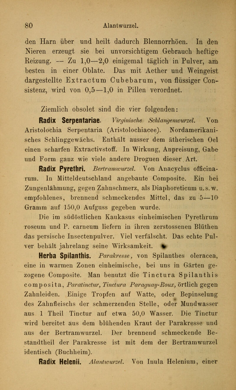 den Harn über und heilt dadurch Blennorrhöen. In den Nieren erzeugt sie bei unvorsichtigem Gebrauch heftige Reizung. — Zu 1,0—2,0 einigemal täglich in Pulver, am besten in einer Oblate. Das mit Aether und Weingeist dargestellte Extractum Oubebarum, von flüssiger Con- sistenz, wird von 0,5—1,0 in Pillen verordnet. Ziemlich obsolet sind die vier folgenden: Radix Serpentariae. Virginische Schlangenwurzel. Von Aristolochia Serpentaria (Aristolochiacee). Nordamerikani- sches Schlinggewächs. Enthält ausser dem ätherischen Oel einen scharfen Extractivstoff. In Wirkung, Anpreisung, Gabe und Form ganz wie viele andere Droguen dieser.Art. Radix Pytethri. Bertramwurzel. Von Anacyclus officina- rum. In Mitteldeutschland angebaute Composite. Ein bei Zungenlähmung, gegen Zahnschmerz, als Diaphoreticum u.s.w. empfohlenes, brennend schmeckendes Mittel, das zu 5—10' Gramm auf 150,0 Aufguss gegeben wurde. Die im südöstlichen Kaukasus einheimischen Pyrethrum roseum und P. carneum liefern in ihren zerstossenen Blüthen das persische Insectenpulver. Viel verfälscht. Das echte Pul- ver behält jahrelang seine Wirksamkeit. % Herba SpilatlthiS. Parakresse, von Spilanthes oleracea, eine in warmen Zonen einheimische, bei uns in Gärten ge- zogene Composite. Man benutzt die Tinctura Spilanthis composita, Paratinctur, Tinctura Paraguay-Roux, örtlich gegen Zahnleiden. Einige Tropfen auf Watte, oder Bepinselung des Zahnfleischs der schmerzenden Stelle, oder Mundwasser aus 1 Theil Tinctur auf etwa 50,0 Wasser. Die Tinctur wird bereitet aus dem blühenden Kraut der Parakresse und aus der Bertramwurzel. Der brennend schmeckende Be- standteil der Parakresse ist mit dem der Bertramwurzel identisch (Buchheim). Radix HelenÜ. Alantwurzel. Von Inula Helenium, einer