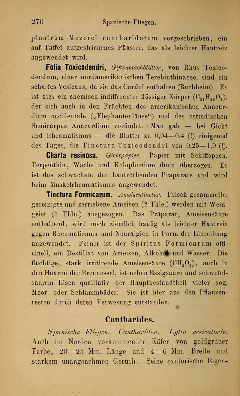 plastrum Mezerei cantharidatum vorgeschrieben, ein auf Taffet aufgestochenes Pflaster, das als leichter Hautreiz angewendet wird. Fülia TOXJCOdendri, Giftsumachblätter, von Rhus Toxico- dendron, einer nordamerikanischen Terebinthinacee, sind ein scharfes Vesicans, da sie das Cardol enthalten (Buchheim). Es ist dies ein chemisch indifferenter flüssiger Körper (C21H30O2), der sich auch in den Früchten des amerikanischen Anacar- dium occidentale („Elephantenläuse) und des ostindischen Semicarpus Anacardium vorfindet. Man gab — bei Gicht und Rheumatismus — die Blätter zu 0,04—0,4 (!) einigemal des Tages, die Tinctura Toxicodendri von 0,25—1,0 (!). Charta resinosa. Gichtpapier. Papier mit Schiffspech, Terpenthin, Wachs und Kolophonium dünn überzogen. Es ist das schwächste der hautröthenden Präparate und wird beim Muskelrheumatismus angewendet. Tinctura Foritlicarum. Ameisentinctur. Frisch gesammelte, gereinigte und zerriebene Ameisen (2 Thle.) werden mit Wein- geist (3 Thln.) ausgezogen. Das Präparat, Ameisensäure enthaltend, wird noch ziemlich häufig als leichter Hautreiz gegen Rheumatismus und Neuralgien in Form der Einreibung angewendet. Ferner ist der Spiritus Formicarum offi- •cinell, ein Destillat von Ameisen, Alkohdl und Wasser. Die flüchtige, stark irritirende Ameisensäure (CH202), auch in «den Haaren der Brennessel, ist neben Essigsäure und schwefel- saurem Eisen qualitativ der Hauptbestandtheil vieler sog. Moor- oder Schlammbäder. Sie ist hier aus den Pflanzen- resten durch deren Verwesung entstanden. Cantharides. Spanische Fliegen. Cantliariden. Lytta vesicatoria. Auch im Norden vorkommender Käfer von goldgrüner Farbe, 20—25 Mm. Länge und 4—6 Mm. Breite und starkem unangenehmen Geruch. Seine exutorische Eigen-