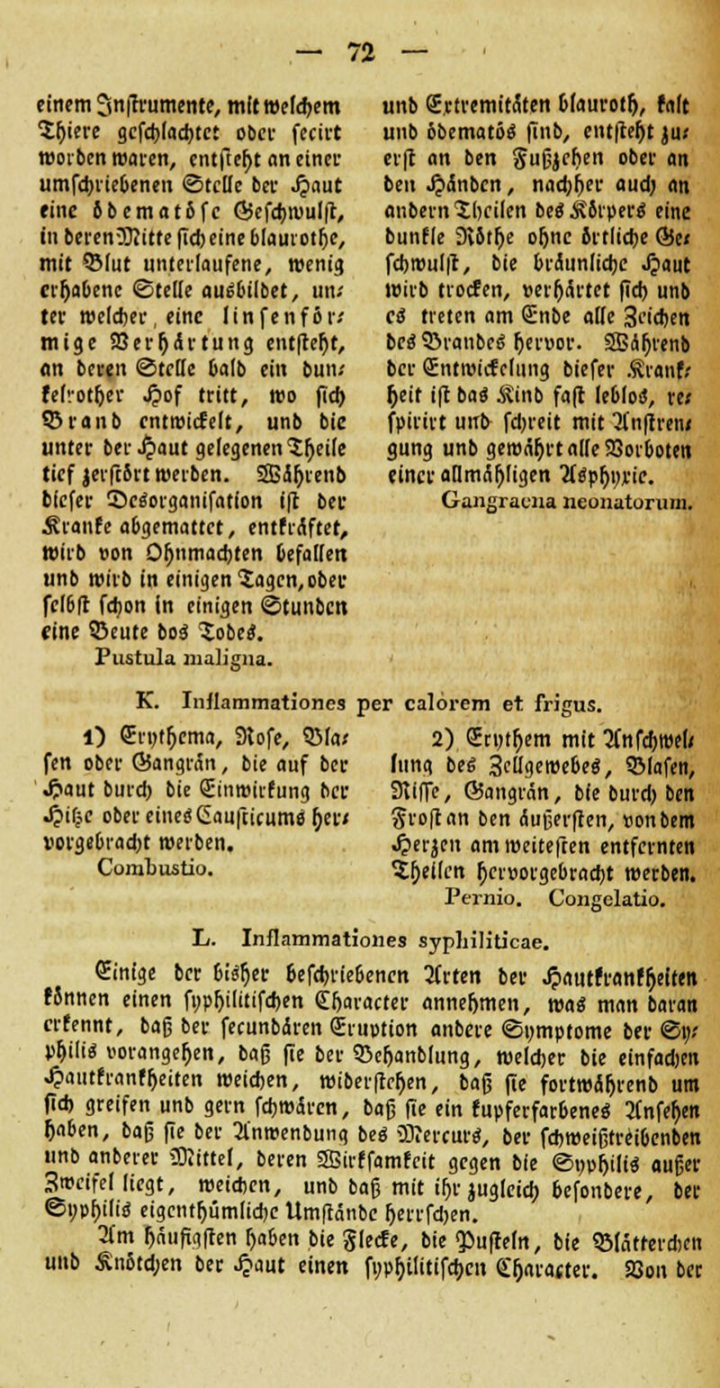 einem Snffrumente, mit welkem Sljiere gcfd)(ad)tct ober fecirt worben waren, entfielt an einer umfdjriebenen ©teile ber Jpaut eine 6bemat6fc Giefd)wul|t, in beren-Mitte fid) eine biaurot&e, mit Q5Iut unterlaufene, wenig erhabene ©teile ausübet, uiu ter weldjer, eine linfenför-' mige 23er Wartung entfielt, an beten ©teile balb ein butv felvotfjer J?of tritt, wo fid) ©raub cntwicfelt, unb bic unter ber .£aut gelegenen Sjjeile tief jerfttrt werben. SSÄfjrenb bfefer ©ctforganifatfon ift bec Äranfe abgemattet, enthaftet, wirb »on Ofjnmad)ten befallen unb wirb in einigen Sagen, ober fcl6|t fdjon in einigen ©tunben eine S3eute boä lobe*. Pustula maligna. K. Inflammationes per calörem et frigus. unb (Ertremitäten blaurotfj, falt unb bbematö* finb, entfielt ju< er|t an ben gußjcben ober an bm JjxSnbcn, nadjfjer aud) an anbern feilen beaÄbrper* eine bunfle 9v8tfje ofjnc ortlid)e &tt fd)wul|t, bie bräunliche J?aut wirb trotfen, »erhärtet fid) unb CiS treten am Qünbe alle Stiften bes 3>ranbeS Ijenw. SBäjjrenb ber Sntwicfelung biefer Stwufi &eit i(l ba« $inb faft leblos*, re; fpirirt un& fdn'eit mit 3(n|tren< gung unb gewährt alle Vorboten einer allmahligen Titane. Gangracna neonatorum. 1) Sryt^ema, 3tofe, QMax fen ober ©angrän, bie auf ber J?aut burd) bie Qnnwirfung ber 4»ifjc ober einesGaufticum« jjer/ vorgebrad)t werben. Combustio. 2) GErntftem mit tfnfcfiwel* ding beß Selige webeS, QMafen, SKiffe, ©angrän, bie burd) ben groftan ben dußerften, sonbem •frerjen am weitefren entfernten feilen r)er»orgebrad)t werben. Pernio. Congelatio. L. Inflammationes syphiliticae. Einige ber 6if$r)er Sefebriebenen 3frten bei- .fpautfranffieifen fSnnen einen fyphilitifeben Character annehmen, wag man baran erfennt, baß ber feeunbdren £ru»tion anbere ©nmptome ber ©i;/ »&ili* vorangehen, baß fie ber 53etjanblung, weiter bie einfadjen .^autfranffjeiten weichen, wiberffeften, baß (ie fortwdljrenb um fid) greifen unb gern febwären, baß fie ein fupferfarbeneä tfnfefjen fiaben, baß fie ber 3l'nwenbunq beö 3ttercur$, ber febweißrrübenben unb anberer Slittef, beren Sffiirffamfcit gegen bie ©npfjili« außer 3wcifel liegt, weichen, unb baß mit ihr jugleicb befonbere, ber ©uphilio eigctitr)üm[id)C Umftänbe herrfd)en. 3(m Ijnufigfren haben bie glecfe, bie Ruffeln, bie «ölatterrtcn unb £n6td;en ber J$m einen fnphjlttifcbcn Cftaratter. 23on ber