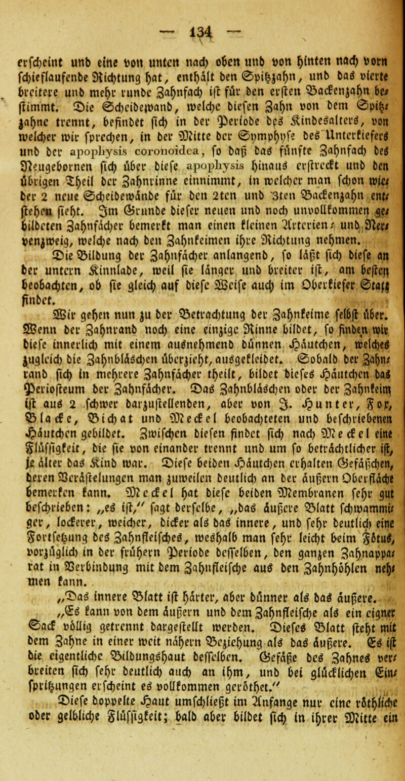 erfcheint unb eine »o« unten und) oben unb »on hinten nad) »orn fdjieflaufenbe SKicbtung b>t, enthält ben ©pifcjafjn, unb baS »ievte keime unb mefjr runbc 3«b>f«* i|t für ben evften ©acfenjaljn be< ftimmt. 2>ie ©djciberoanb, roeldjc biefen %aty\ »on bem @pi£« Jahne trennt, befmbet ftd) in bei- Qieriobe beä £inbes>altcr<j, von welcher nur fprcdjen, in ber üftitte ber <S»mpf)»fe beö'Unicrfiefert Unb ber apophysis coronoidca, fo baß baä fünfte 3af)nfacb bei ffhugebornen fieb über biefe apophysis hinaus cr|trc<ft unb ben übrigen 5^eil ber 3aljnrinne einnimmt, in welcher man fdjon xvia ber 2 neue ©djeiberoänbe für ben 2tcn unb sten ©a'cfenjafjn ent/ flehen fleht. 3m Öiiunbe biefer neuen unb noch un»ollfommen ge/ bilbeten 3«()nfäd;er bemerft man einen fleinen 21'vtcrien.- unb Sltw »enjroeig, roeldje nach, ben 3«5fcimen il)re 9tid)tung nehmen. S)ie©ilbung ber 3«&nfäcber anlangenb, fo laßt fid? biefe an ber untern Äinnlabe, weil fie länger unb breiter ift, am beften, beobachten, 06 fie gleich auf biefe SScife auch, im Oberfiefer 6taf| finbet. 25ir geljen nun ju ber ©etradjtung ber %<\§nUimt fel&fr i16er. ffi?enn ber 3<*f)nranb noch eine einjige 9tinne bilbet, fo finben wir biefe innerlid) mit einem autfnehmcnb bünnen Jpäutcbcn, rcelcbe* juglcid) bie 3«f)nbläf>d)en übcrjicfyt, auägeflcibet. ©obalb ber 3«^n; ranb (id) in mehrere 3afjnfäd)er tljeilt, bilbet biefeS J?autd)en ba£ ^eriofteum ber 3<*hnfäcber. ©aä 3<ibnblä<kben ober ber 3<>fjfeim, (ft au« 2 fd)t»er barju|te(lenben, aber »on 3. Runter, ^or, ©lacfe, ©idjat uno Sfiecfel beobad)teten unb befdjriebenen .fräuteben gebilbet. 3>»ifd)cn biefen finbet fid) nad) 9)1 e d e 1 eine Slüfügfeit, bie fie »on einanber trennt unb um fo beträchtlicher ift, \t älter baß Äinb war. 2>iefe beiben J?äutd)en erhalten (Befäßdjen, beten SScräftelungcn man juroeilcn beutlich an ber äußern Obeiftädjt Uemerfen fann. 9)2 edel fjat biefe beiben Membranen fe()r gut befebneben: „ei ift, fagt berfclbe, „ba<S äußere ©latt febroammu ger, lodern-, roeieber, bicter alä bao innere, unb feljr beutlich eine Sortfe^ung beä 3«^nfleifchce;, roeiifjalb man feljr leid)t beim j&tu«, »orjüglid) in ber frühem <Periobe bcffelben, ben ganjen 3afjnappa< rat in SSerbtnbung mit bem 3af>ufleifd;e aus ben 3«^nhö^lcn ntty men fann. „T>afS innere ©fatt ifr härter, aber bünner aU bat äußere. „So fann »on bem äußern unb bem 3<H)nffeifd)e a\ß ein eignet ©aef »bliig getrennt barge|Mt werben. SMefcä ©latt ftefjt mit bem 3af>nc in einer weit näljern ©ejiefjung ate baß äußere. <£i5 ift bie eigentliche ©ilbungiljaut beffelben. ÖJefäße bei 3afjnee: »er/ breiten (I* fet>i- beutlid) aucj> an i^m, unb bei glücfliehen £in/ fpri^ungen etfeheint eä »oUfommen gerottet. ©iefe hoppelte Jpaut umfcbjießt im 31'nfange nur eine rötliche ober gelblidje glüfilgfeit; balb ober bilbet |Td) in i^rer SKitte ein