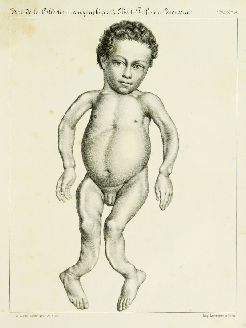 IDÀU A- (ii ÇvXÙdûuM ucwci]iay>\\\i.]i\cdc. ]h„£e Jurfb>ô*>uv'^U'ii.Wtiii. Planche