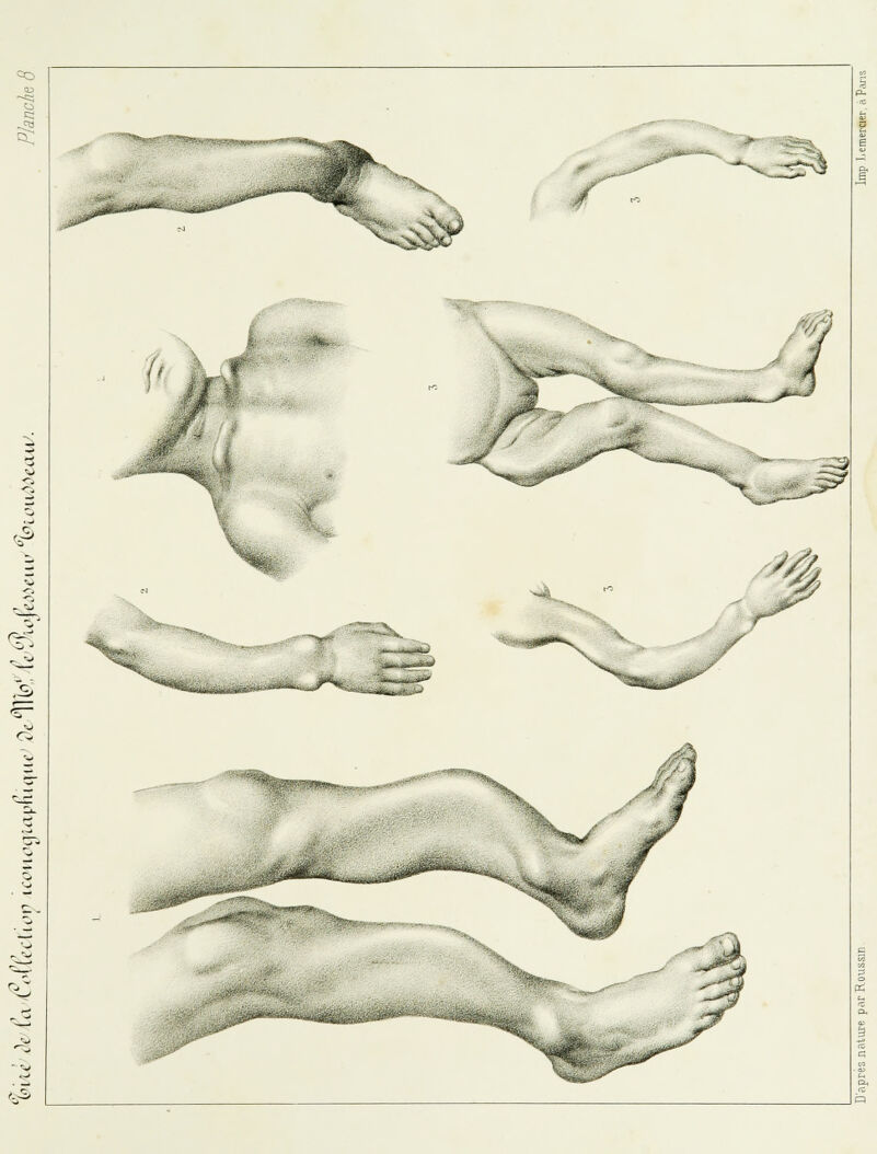 ^J****1^ ■■ 'W ,1 - ^ÈTo: ^*». H. X