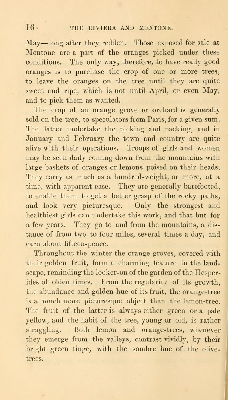 May—long after they redden. Those exposed for sale at Mentoue are a part of the oranges picked under these conditions. The only way, therefore, to have really good oranges is to purchase the crop of one or more trees, to leave the oranges on the tree until they are quite sweet and ripe, which is not until April, or even May, and to pick them as wanted. The crop of an orange grove or orchard is generally sold on the tree, to speculators from Paris, for a given sum. The latter undertake the picking and packing, and in January and February the town and country are quite alive with their operations. Troops of girls and women may be seen daily coming down from the mountains with large baskets of oranges or lemons poised on their heads. They carry as much as a hundred-weight, or more, at a time, with apparent ease. They are generally barefooted, to enable them to get a better grasp of the rocky paths, and look very picturesque. Only the strongest and healthiest girls can undertake this work, and that but for a few years. They go to and from the mountains, a dis- tance of from two to four miles, several times a day, and earn about fifteen-pence. Throughout the winter the orange groves, covered with their golden fruit, form a charming feature in the land- scape, reminding the looker-on of the garden of the Hesper- ides of olden times. From the regularity of its growth, the abundance and golden hue of its fruit, the orange-tree is a much more picturesque object than the lemon-tree. The fruit of the latter is always either green or a pale yellow, and the habit of the tree, young or old, is rather straggling. Both lemon and orange-trees, whenever they emerge from the valleys, contrast vividly, by their bright green tinge, with the sombre hue of the olive- trees.