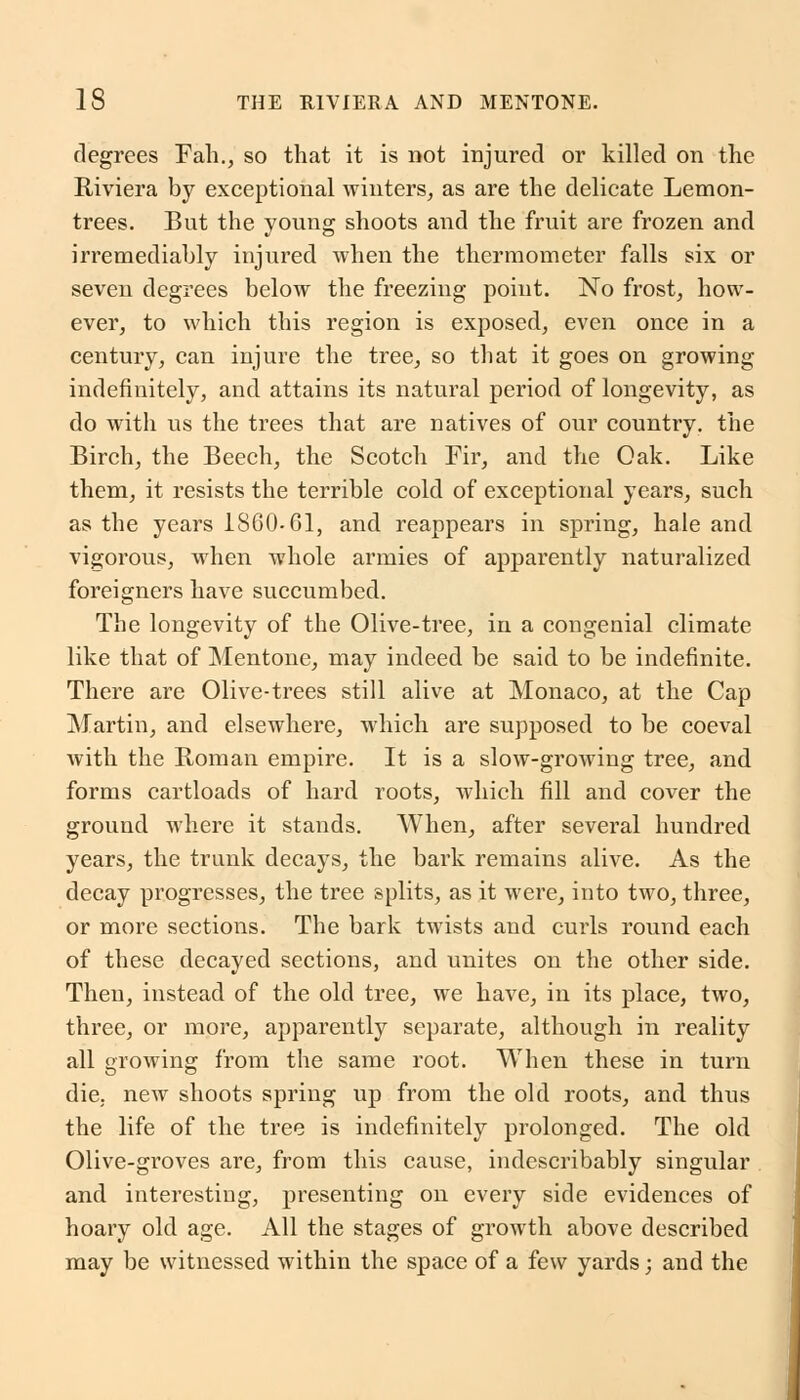 degrees Pah., so that it is not injured or killed on the Riviera by exceptional winters, as are the delicate Lemon- trees. But the young shoots and the fruit are frozen and irremediably injured when the thermometer falls six or seven degrees below the freezing point. No frost, how- ever, to which this region is exposed, even once in a century, can injure the tree, so that it goes on growing indefinitely, and attains its natural period of longevity, as do with us the trees that are natives of our country, the Birch, the Beech, the Scotch Fir, and the Oak. Like them, it resists the terrible cold of exceptional years, such as the years 1S60-61, and reappears in spring, hale and vigorous, when whole armies of apparently naturalized foreigners have succumbed. The longevity of the Olive-tree, in a congenial climate like that of Mentone, may indeed be said to be indefinite. There are Olive-trees still alive at Monaco, at the Cap Martin, and elsewhere, which are supposed to be coeval with the Roman empire. It is a slow-growing tree, and forms cartloads of hard roots, which fill and cover the ground where it stands. When, after several hundred years, the trunk decays, the bark remains alive. As the decay progresses, the tree splits, as it were, into two, three, or more sections. The bark twists and curls round each of these decayed sections, and unites on the other side. Then, instead of the old tree, we have, in its place, two, three, or more, apparently separate, although in reality all growing from the same root. When these in turn die. new shoots spring up from the old roots, and thus the life of the tree is indefinitely prolonged. The old Olive-groves are, from this cause, indescribably singular and interesting, presenting on every side evidences of hoary old age. All the stages of growth above described may be witnessed within the space of a few yards; and the