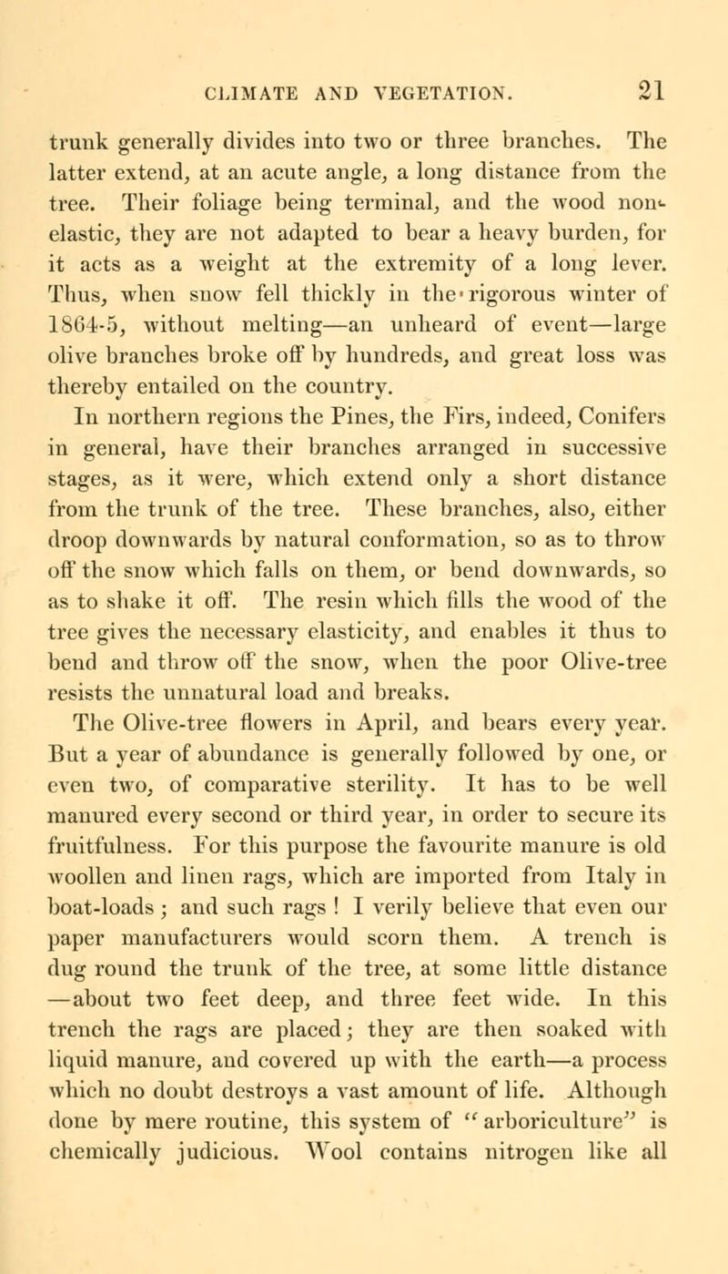 trunk generally divides into two or three branches. The latter extend, at an acute angle, a long distance from the tree. Their foliage being terminal, and the wood non<- elastic, they are not adapted to bear a heavy burden, for it acts as a weight at the extremity of a long lever. Thus, when snow fell thickly in the rigorous winter of 1864-5, without melting—an unheard of event—large olive branches broke off by hundreds, and great loss was thereby entailed on the country. In northern regions the Pines, the Firs, indeed, Conifers in general, have their branches arranged in successive stages, as it were, which extend only a short distance from the trunk of the tree. These branches, also, either droop downwards by natural conformation, so as to throw off the snow which falls on them, or bend downwards, so as to shake it off. The resin which fills the wood of the tree gives the necessary elasticity, and enables it thus to bend and throw off the snow, when the poor Olive-tree resists the unnatural load and breaks. The Olive-tree flowers in April, and bears every year. But a year of abundance is generally followed by one, or even two, of comparative sterility. It has to be well manured every second or third year, in order to secure its fruitfulness. For this purpose the favourite manure is old woollen and linen rags, which are imported from Italy in boat-loads; and such rags ! I verily believe that even our paper manufacturers would scorn them. A trench is dug round the trunk of the tree, at some little distance —about two feet deep, and three feet wide. In this trench the rags are placed; they are then soaked with liquid manure, and covered up with the earth—a process which no doubt destroys a vast amount of life. Although done by mere routine, this system of  arboriculture is chemically judicious. Wool contains nitrogen like all