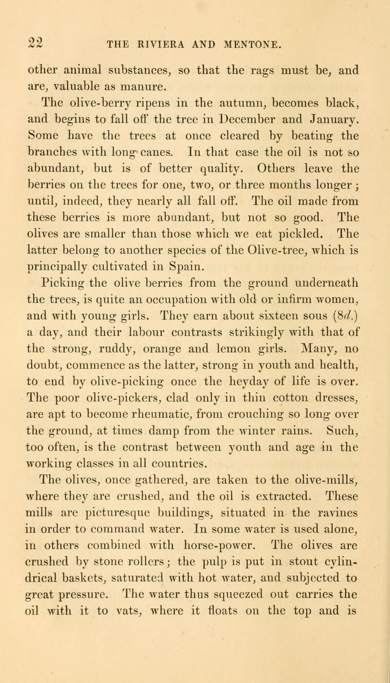 other animal substances, so that the rags must be, and are, valuable as manure. The olive-berry ripens in the autumn, becomes black, and begins to fall off the tree in December and January. Some have the trees at once cleared by beating the branches with long canes. In that case the oil is not so abundant, but is of better quality. Others leave the berries on the trees for one, two, or three months longer; until, indeed, they nearly all fall off. The oil made from these berries is more abundant, but not so good. The olives are smaller than those which we eat pickled. The latter belong to another species of the Olive-tree, which is principally cultivated in Spain. Picking the olive berries from the ground underneath the trees, is quite an occupation with old or infirm women, and with young girls. They earn about sixteen sous (Sd.) a day, and their labour contrasts strikingly with that of the strong, ruddy, orange and lemon girls. Many, no doubt, commence as the latter, strong in youth and health, to end by olive-picking once the heyday of life is over. The poor olive-pickers, clad only in thin cotton dresses, are apt to become rheumatic, from crouching so long over the ground, at times damp from the winter rains. Such, too often, is the contrast between youth and age in the working classes in all countries. The olives, once gathered, are taken to the olive-mills, where they are crushed, and the oil is extracted. These mills are picturesque buildings, situated in the ravines in order to command water. In some water is used alone, in others combined with horse-power. The olives are crushed by stone rollers; the pulp is put in stout cylin- drical baskets, saturated with hot water, and subjected to great pressure. The water thus squeezed out carries the oil with it to vats, where it floats on the top and is