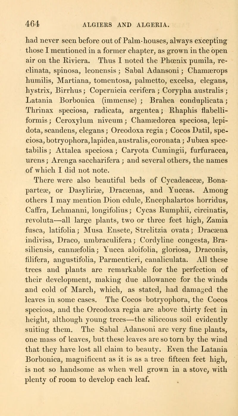 had never seen before out of Palm-houses, always excepting those I mentioned in a former chapter, as grown in the open air on the Riviera. Thus I noted the Phoenix pumila, re- clinata, spinosa, leonensis ; Sabal Adansoni; Chamserops humilis, Martiana, tomentosa, palmetto, excelsa, elegans, hystrix, Birrhus; Copernicia cerifera ; Corypha australis ; Latania Borbonica (immense) ; Brahea conduplicata; Thrinax speciosa, radicata, argentea; Rhaphis flabelli- formis; Ceroxylum niveum; Chamaedorea speciosa, lepi- dota, scandens, elegans; Oreodoxa regia ; Cocos Datil, spe- ciosa, botryophora,lapidea, australis, coronata; Jubsea spec- tabilis; Attalea speciosa; Caryota Cumingii, furfuracea, urens; Arenga saccharifera ; and several others, the names of which I did not note. There were also beautiful beds of Cycadeacese, Bona- partese, or Dasylirise, Dracaenas, and Yuccas. Among others I may mention Dion edule, Encephalartos horridus, Caffra, Lehmanni, longifolius; Cycas Rumphii, circinatis, revoluta—all large plants, two or three feet high, Zamia fusca, latifolia; Musa Ensete, Strelitzia ovata; Dracaena indivisa, Draco, umbraculifera; Cordyline congesta, Bra- siliensis, cannsefolia; Yucca aloifolia, gloriosa, Draconis, hlifera, angustifolia, Parmentieri, canaliculata. All these trees and plants are remarkable for the perfection of their development, making due allowance for the winds and cold of March, which, as stated, had damaged the leaves in some cases. The Cocos botryophora, the Cocos speciosa, and the Oreodoxa regia are above thirty feet in height, although young trees—the siliceous soil evidently suiting them. The Sabal Adansoni are very fine plants, one mass of leaves, but these leaves are so torn by the wind that they have lost all claim to beauty. Even the Latania Borbonica, magnificent as it is as a tree fifteen feet high, is not so handsome as when well grown in a stove, with plenty of room to develop each leaf.