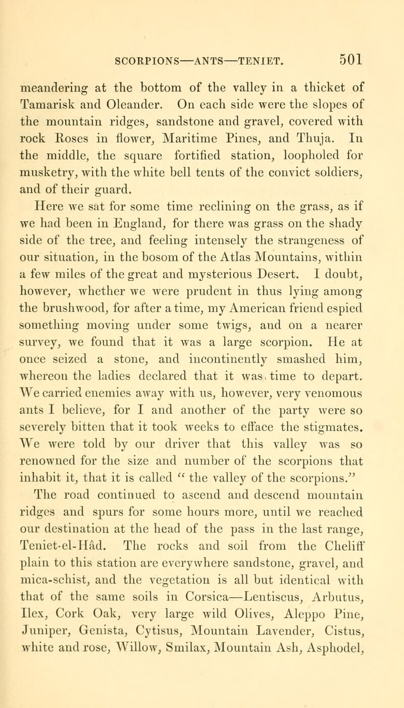 meandering at the bottom of the valley in a thicket of Tamarisk and Oleander. On each side were the slopes of the mountain ridges, sandstone and gravel, covered with rock Roses in flower, Maritime Pines, and Thuja. In the middle, the square fortified station, loopholed for musketry, with the white bell tents of the convict soldiers, and of their guard. Here we sat for some time reclining on the grass, as if we had been in England, for there was grass on the shady side of the tree, and feeling intensely the strangeness of our situation, in the bosom of the Atlas Mountains, within a few miles of the great and mysterious Desert. I doubt, however, whether we were prudent in thus lying among the brushwood, for after a time, my American friend espied something moving under some twigs, and on a nearer survey, we found that it was a large scorpion. He at once seized a stone, and incontinently smashed him, whereon the ladies declared that it was > time to depart. We carried enemies away with us, however, very venomous ants I believe, for I and another of the party were so severely bitten that it took weeks to efface the stigmates. We were told by our driver that this valley was so renowned for the size and number of the scorpions that inhabit it, that it is called  the valley of the scorpions. The road continued to ascend and descend mountain ridges and spurs for some hours more, until we readied our destination at the head of the pass in the last range, Teniet-el-Had. The rocks and soil from the Cheliff plain to this station are everywhere sandstone, gravel, and mica-schist, and the vegetation is all but identical with that of the same soils in Corsica—Lentiscus, Arbutus, Ilex, Cork Oak, very large wild Olives, Aleppo Pine, Juniper, Genista, Cytisus, Mountain Lavender, Cistus, white and rose, Willow, Smilax, Mountain Ash, Asphodel,
