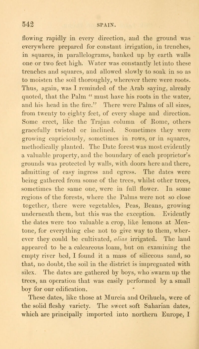 flowing rapidly in every direction, and the ground was everywhere prepared for constant irrigation, in trenches, in squares, in parallelograms, banked up by earth walls one or two feet high. Water was constantly let into these trenches and squares, and allowed slowly to soak in so as to moisten the soil thoroughly, wherever there were roots. Thus, again, was I reminded of the Arab saying, already quoted, that the Palm  must have his roots in the water, and his head in the fire. There were Palms of all sizes, from twenty to eighty feet, of every shape and direction. Some erect, like the Trajan column of Rome, others gracefully twisted or inclined. Sometimes they were growing capriciously, sometimes in rows, or in squares, methodically planted. The Date forest was most evidently a valuable property, and the boundary of each proprietor's grounds was protected by Avails, with doors here and there, admitting of easy ingress and egress. The dates were being gathered from some of the trees, whilst other trees, sometimes the same one, were in full flower. In some regions of the forests, where the Palms were not so close together, there were vegetables, Peas, Beans, growing underneath them, but this was the exception. Evidently the dates were too valuable a crop, like lemons at Men- tone, for everything else not to give way to them, wher- ever they could be cultivated, alias irrigated. The laud appeared to be a calcareous loam, but on examining the empty river bed, I found it a mass of siliceous sand, so that, no doubt, the soil in the district is impregnated with silex. The dates are gathered by boys, who swarm up the trees, an operation that was easily performed by a small boy for our edification. These dates, like those at Murcia and Orihuela, were of the solid fleshy variety. The sweet soft Saharian dates, which are principally imported into northern Europe, I