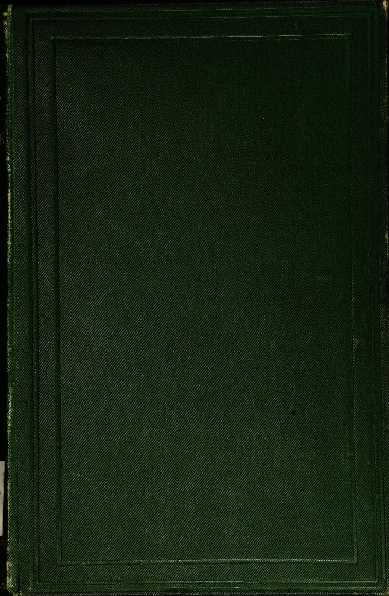 m : I 1111 11111 ill wmm. mm .;/-;■::::::>■} ■ mm -