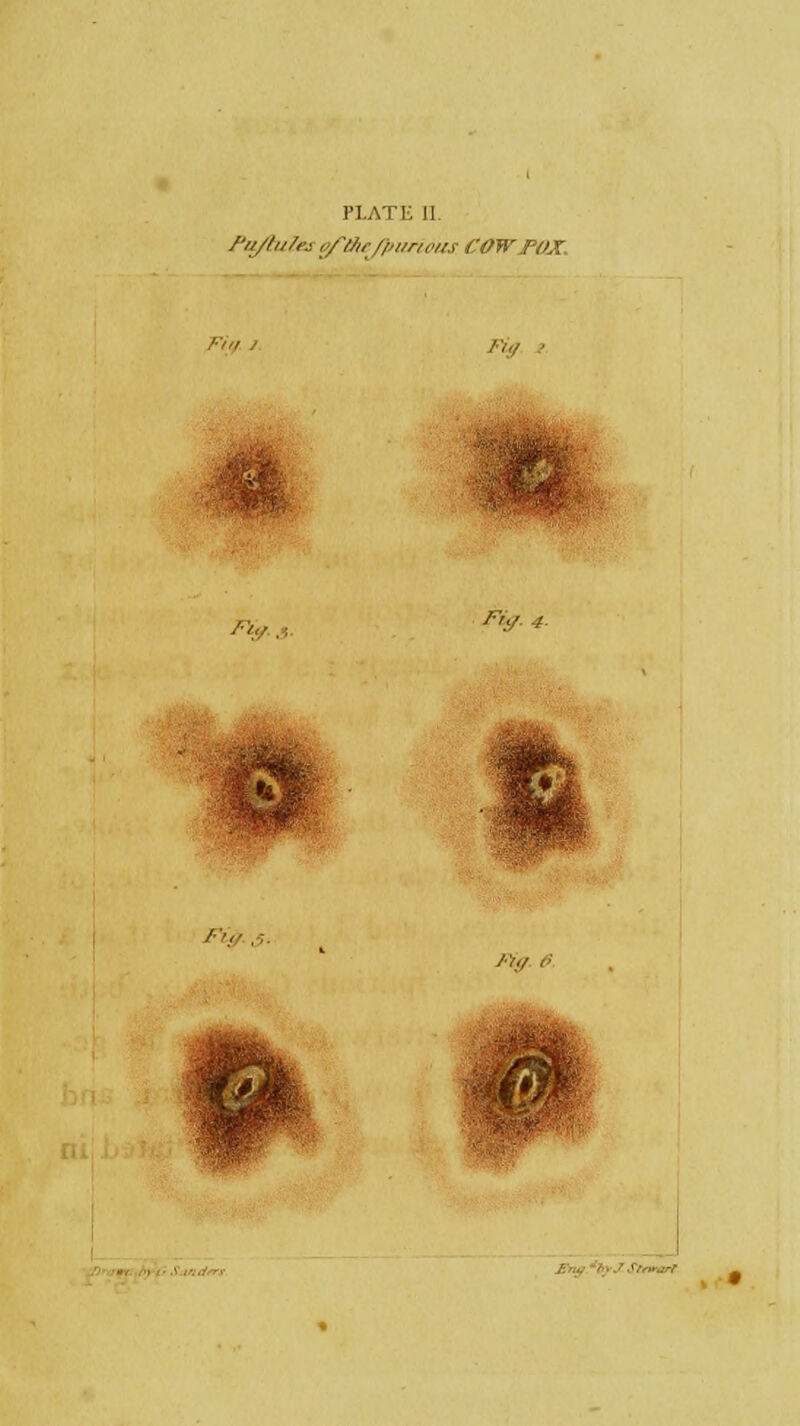 Pu/lula if//i,- //mru'irs COW FOX. Fin / • /■>./ i '■■!■.-, /■;,/ r ' ■ *Stf*arl
