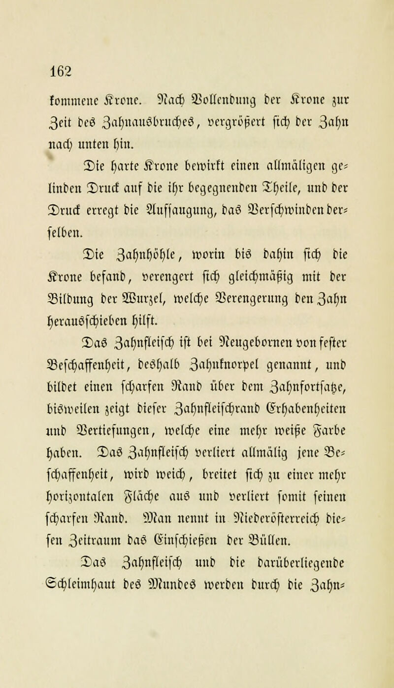 fommene ^xcnc 9iac& 33oKcnbuiig in Ävone jur 3eit teS ßaij\\auSbxni)e$, iiergvopert ft(^ ber ßa^n nad) unten f)in. 2)ie {(arte Äronc bewirft einen aßniäligen gc* linben 1)xud auf bie i^r begegnenden Steife, unb ter !Drucf erregt bie Stuffaugung, baö 33er[c£)n)intientier* feibcn. Sie ßiifju^ö^tc / ii^orin big baf)in ftcf) bie £rone bcfanb, verengert ftc^ gieic^mäfig mit ber Silbung ber SQSurjcI, welche Sßerengerung ben 3a^n ^erauSfc^ieben ^ilft. 2)aS 3«f)nf''fif'^ if ^fi 9teugebonien öonfefter 33efc^affenE)eit, beef)a(b 3'if)»fnP>^pfI genannt, unb bilbet einen [d;arfcn 9lanb über bem ^a^n\oxt\ai}e, biSiveilen jeigt biefer 3iif)iiPei['$'^'inb (Sr^aben^citen xmb 33ertiefnngen, iretc^e eine mefir weife ^^arbe t)abcn. !l)aS 3'i^nfllfi[c^ »crliert aUmälig jene Se^ fc^ajfen^eit, wirb weic^ , breitet fic^ jn einer mcf)r ^oripntalen S'Iäcfje auö nnb »erliert fomit feinen fc^arfen 9lanb. S)fan nennt in 9ticberöfterreic^ bie* fen 3fitraum baS ßinfc^iefen ber Süden. 3)aS 3«^nPEif*^ Ub bie barüberliegenbc ©c^ieimfiaut beS 9)tnnbeö werben burd) bie 3'^^^