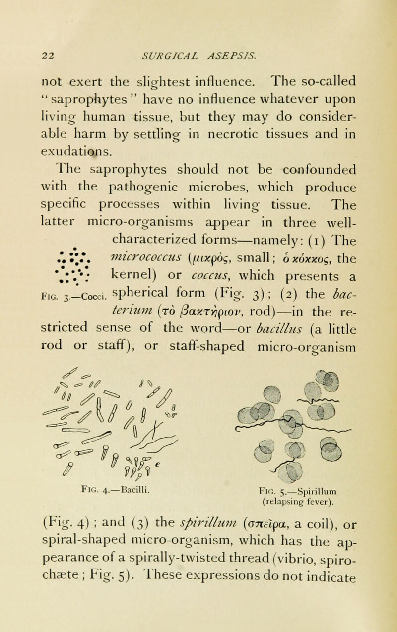 not exert the slightest influence. The so-called saprophytes have no influence whatever upon living human tissue, but they may do consider- able harm by settling in necrotic tissues and in exudations. The saprophytes should not be confounded with the pathogenic microbes, which produce specific processes within living tissue. The latter micro-organisms appear in three well- characterized forms—namely: (i) The .*. I'.*. micrococcus ((iixpog, small; 6 xoxxog, the *.:.*•; kernel) or coccus, which presents a fig. 3-Cocci. spherical form (Fig. 3); (2) the bac- terium (to fiaxTYipiov, rod)—in the re- stricted sense of the word—or bacillus (a little rod or staff), or staff-shaped micro-organism Fig. 4.—Bacilli. Fin. 5.—Spirillum (relapsing fever). (Fig. 4) ; and (3) the spirillum (anelpa, a coil), or spiral-shaped micro-organism, which has the ap- pearance of a spirally-twisted thread (vibrio, spiro- chaete ; Fig. 5). These expressions do not indicate