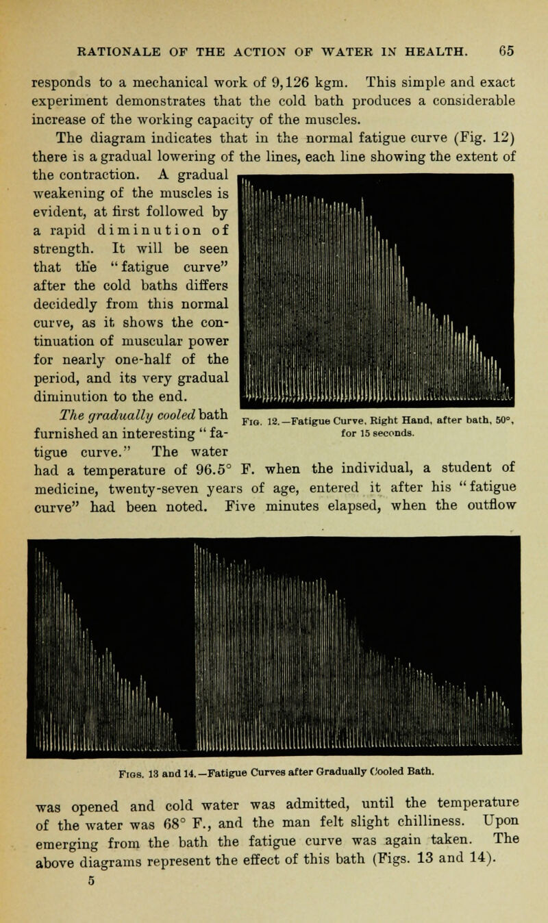 responds to a mechanical work of 9,126 kgni. This simple and exact experiment demonstrates that the cold bath produces a considerable increase of the working capacity of the muscles. The diagram indicates that in the normal fatigue curve (Fig. 12) there is a gradual lowering of the lines, each line showing the extent of the contraction. A gradual weakening of the muscles is evident, at first followed by a rapid diminution of strength. It will be seen that the  fatigue curve after the cold baths differs decidedly from this normal curve, as it shows the con- tinuation of muscular power for nearly one-half of the period, and its very gradual diminution to the end. The gradually cooled bath furnished an interesting  fa- tigue curve. The water had a temperature of 96.5° F. when the individual, a student of medicine, twenty-seven years of age, entered it after his fatigue curve had been noted. Five minutes elapsed, when the outflow -Fatigue Curve. Right Hand, after bath, 50, for 15 seconds. Figs. 13 and 14. —Fatigue Curves after Gradually Cooled Bath. was opened and cold water was admitted, until the temperature of the water was 68° F., and the man felt slight chilliness. Upon emerging from the bath the fatigue curve was again taken. The above diagrams represent the effect of this bath (Figs. 13 and 14). 5